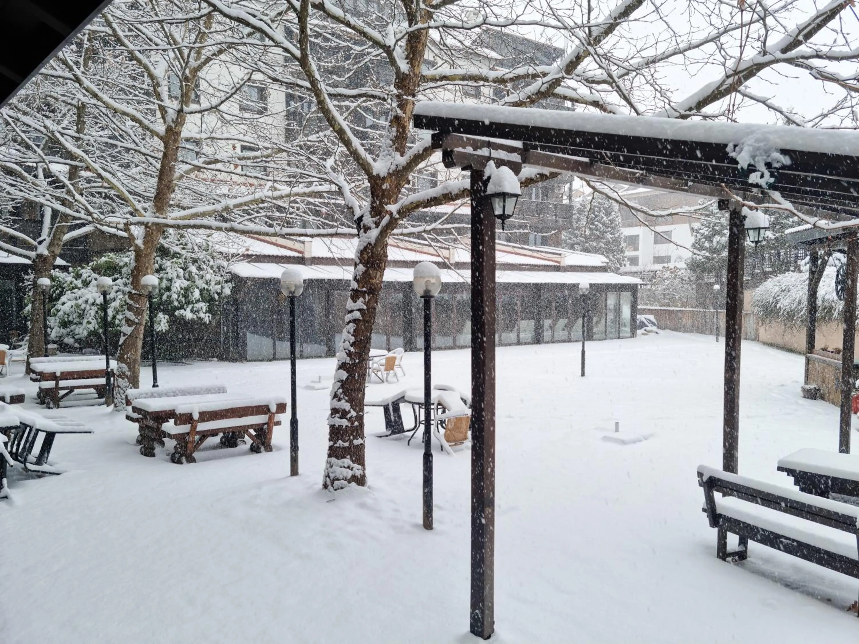 Garden view in Hotel Casa Karina Bansko - Half Board & All Inclusive