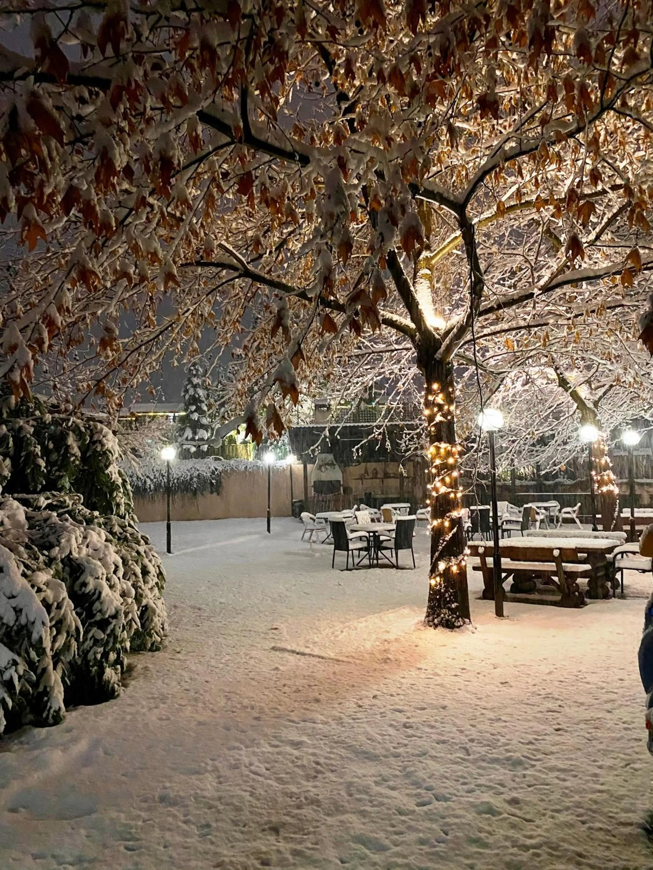 Inner courtyard view in Hotel Casa Karina Bansko - Half Board & All Inclusive