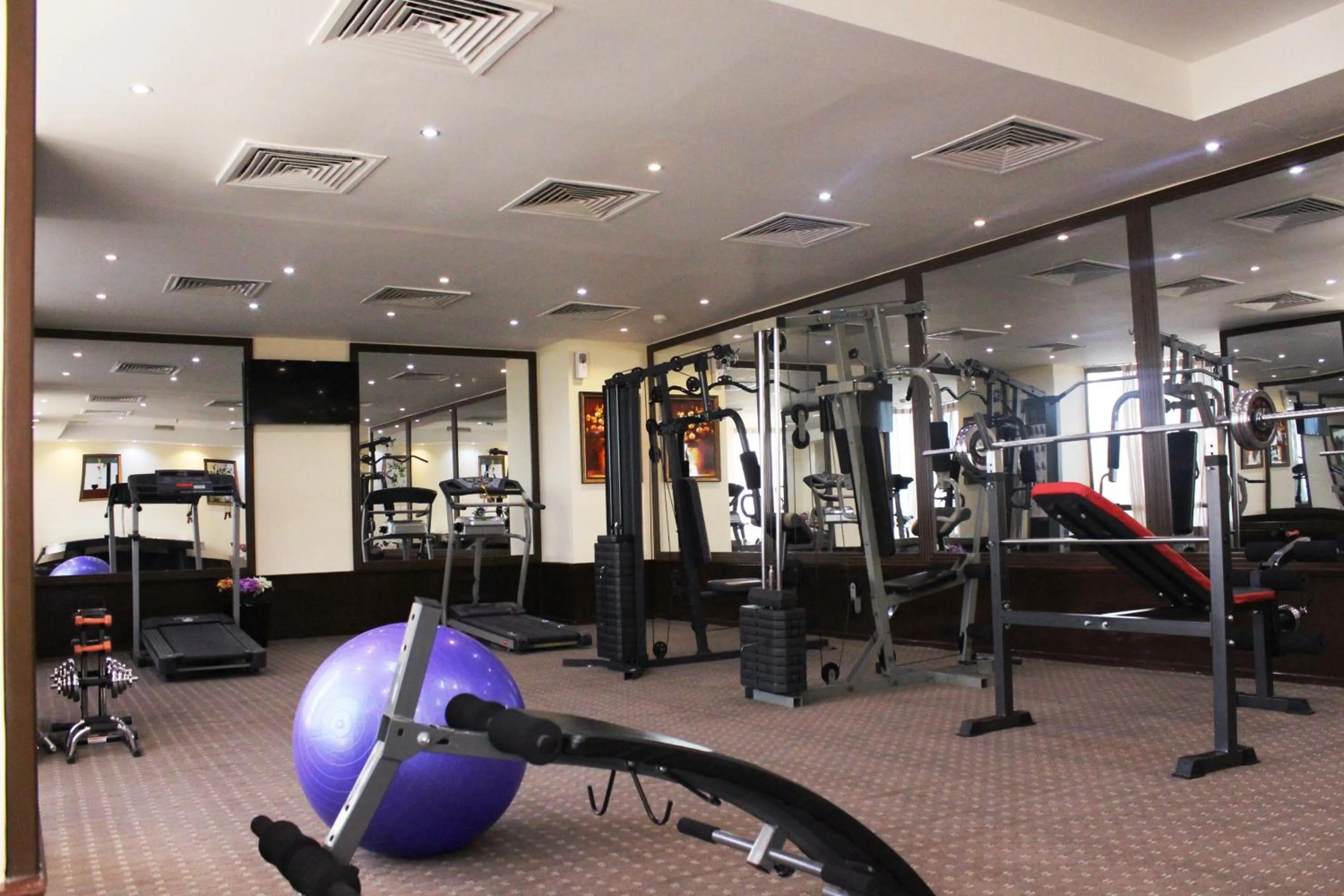 Fitness centre/facilities in Al Khaleej Grand Hotel