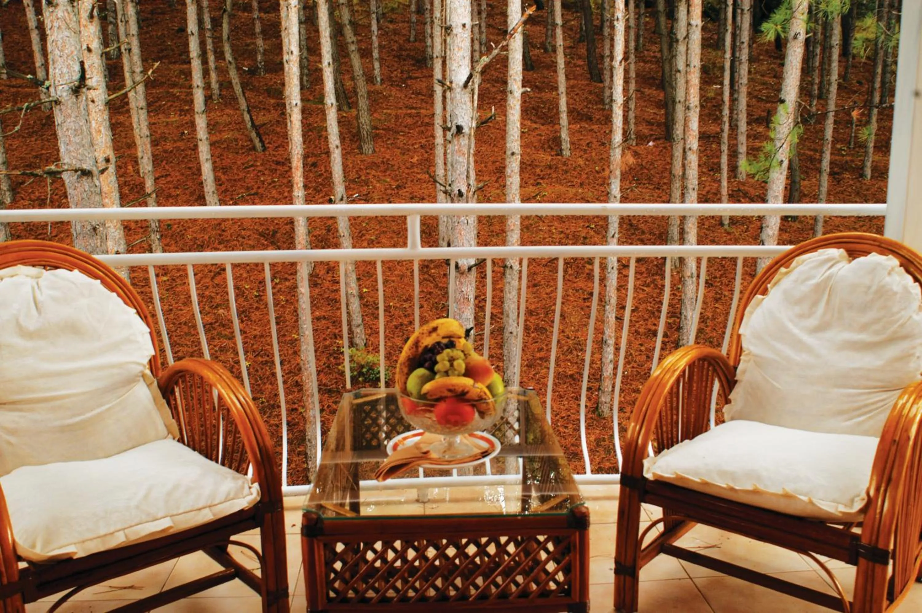 Balcony/Terrace in Hotel Belvedere