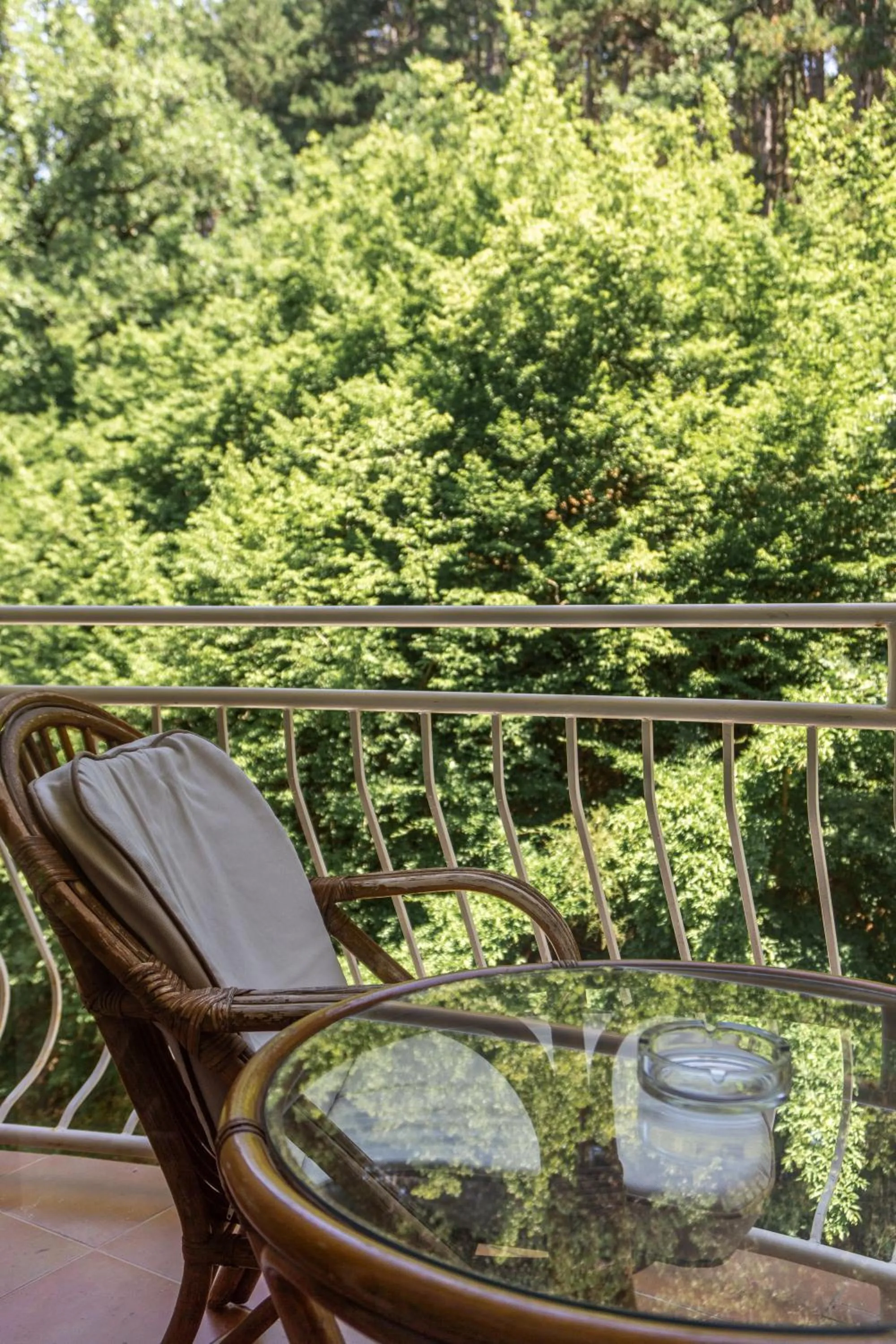 Balcony/Terrace in Hotel Belvedere