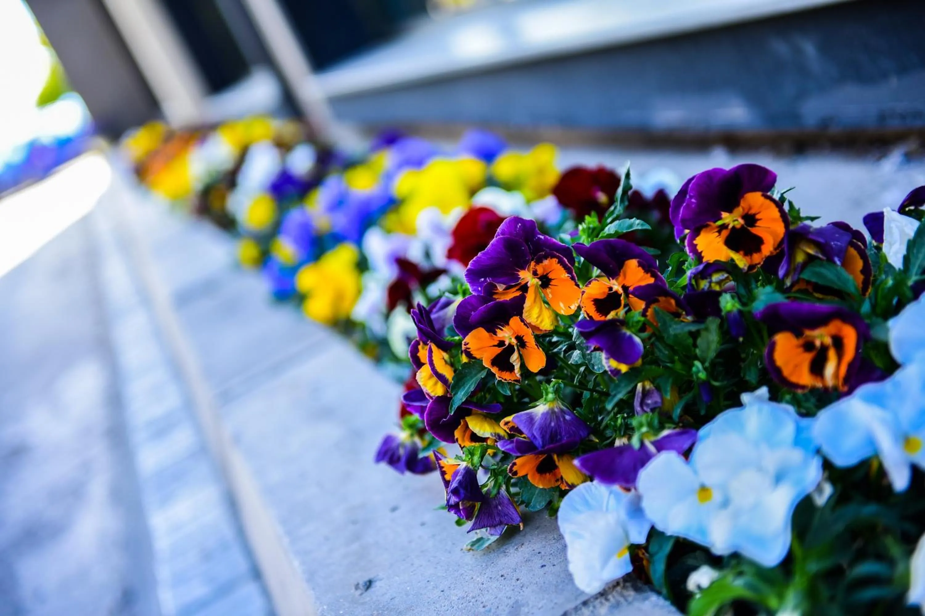 Property building in SU Hotel