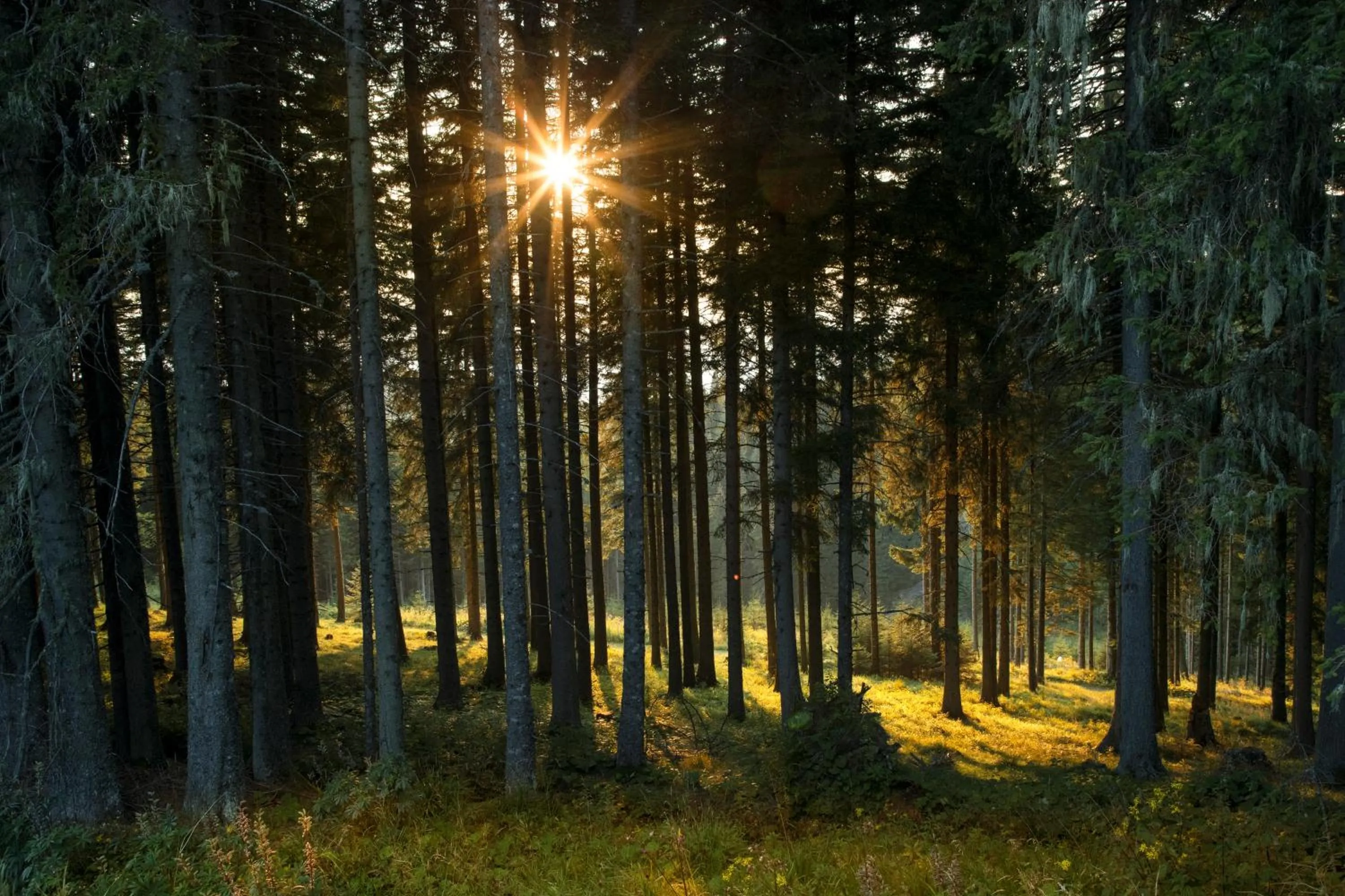 Natural landscape in Biolandhaus Arche