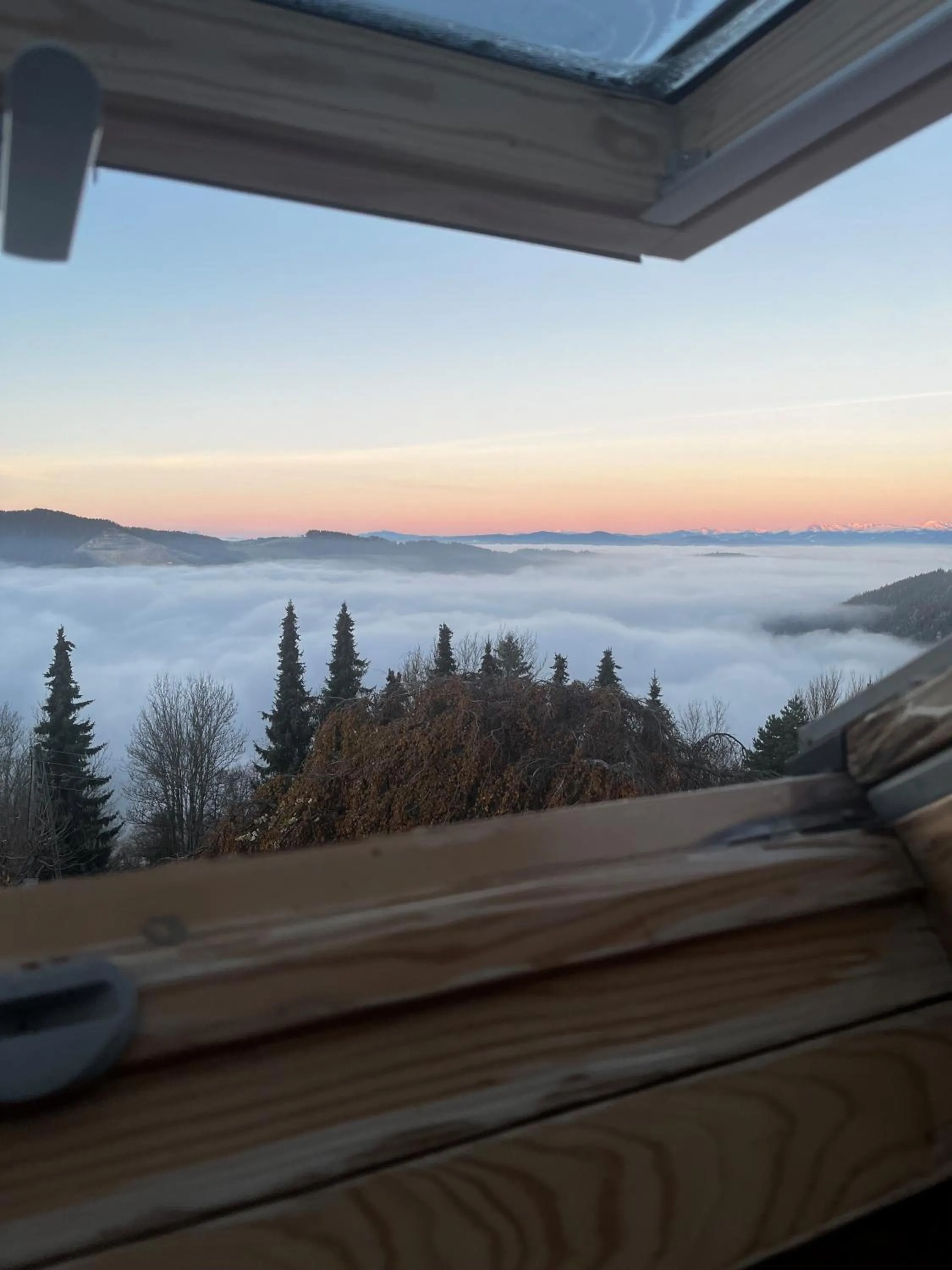 View (from property/room) in Biolandhaus Arche