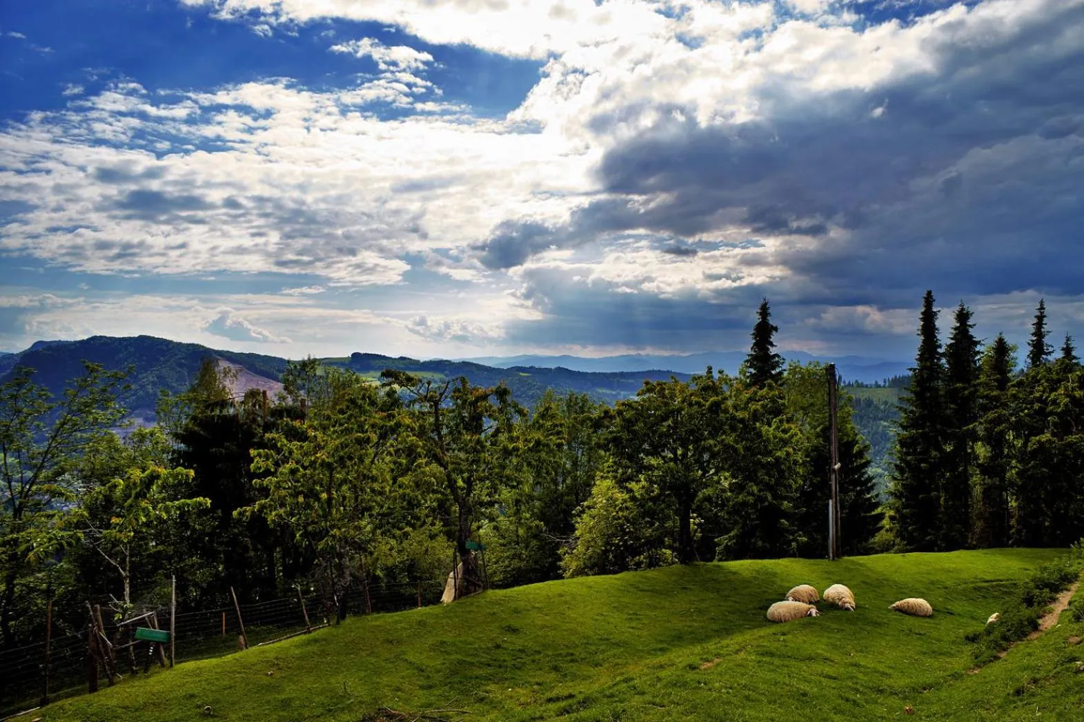 Off site in Biolandhaus Arche