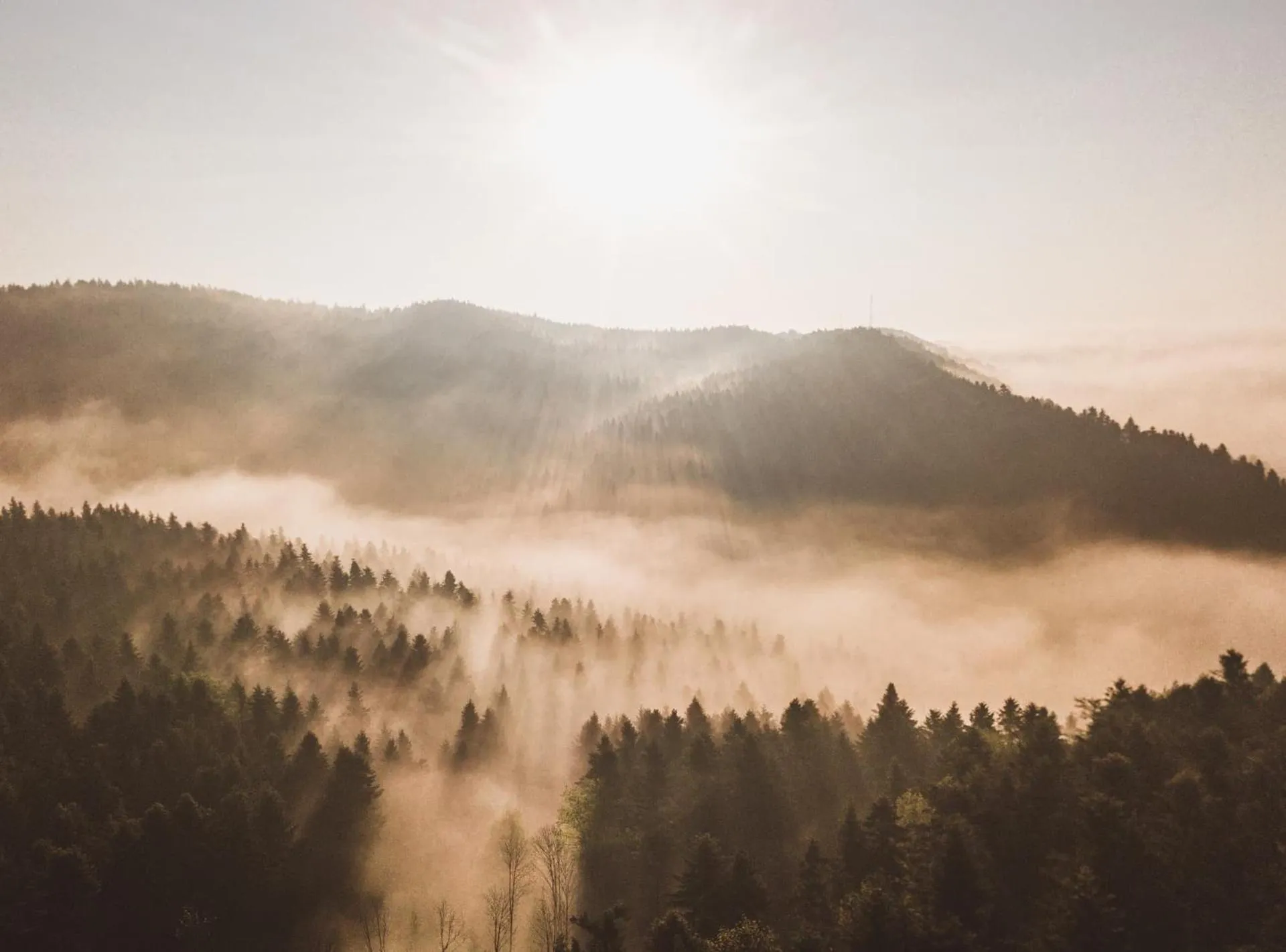 Off site in Dwór Kombornia Hotel&SPA