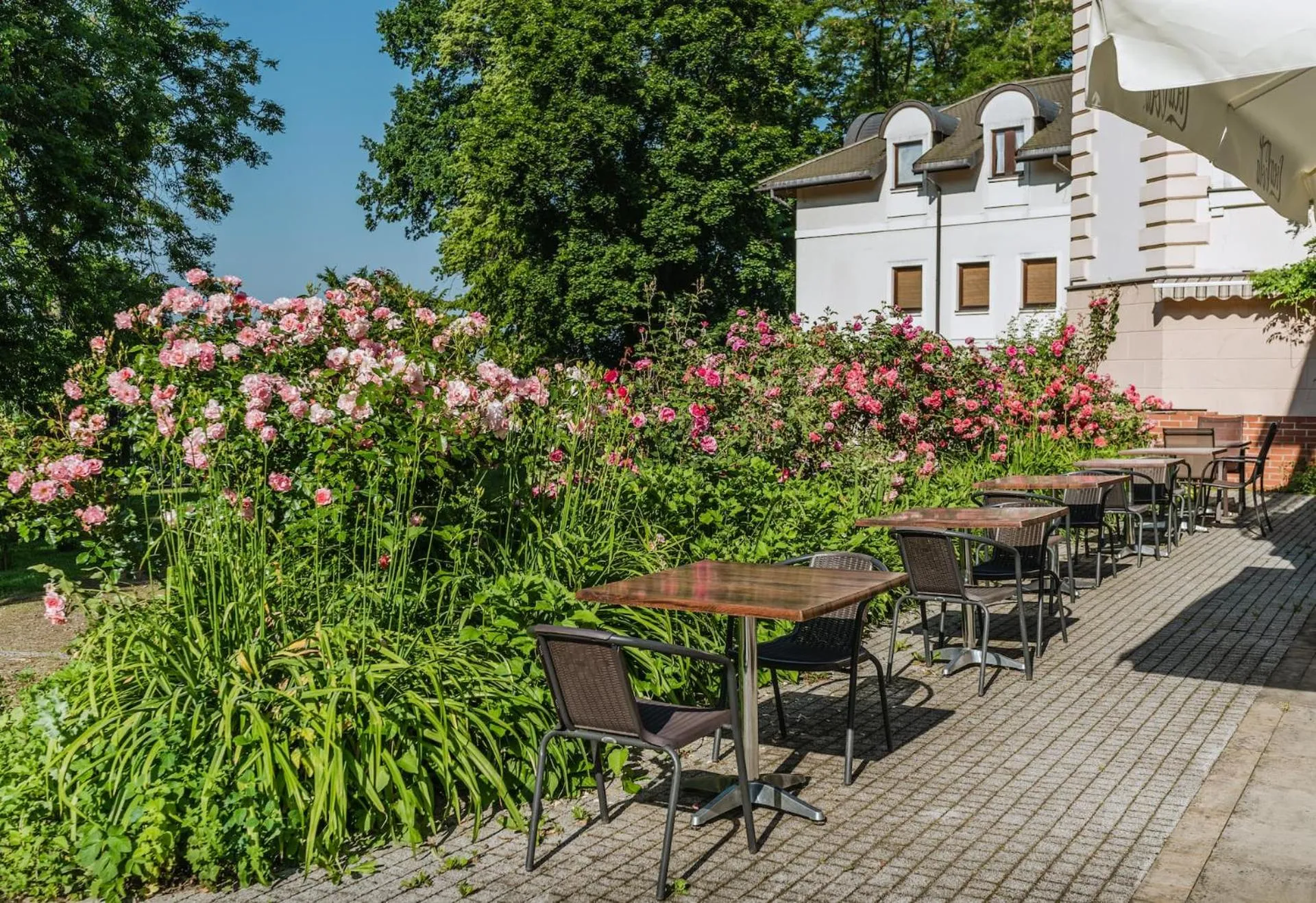 Restaurant/places to eat in Dwór Kombornia Hotel&SPA