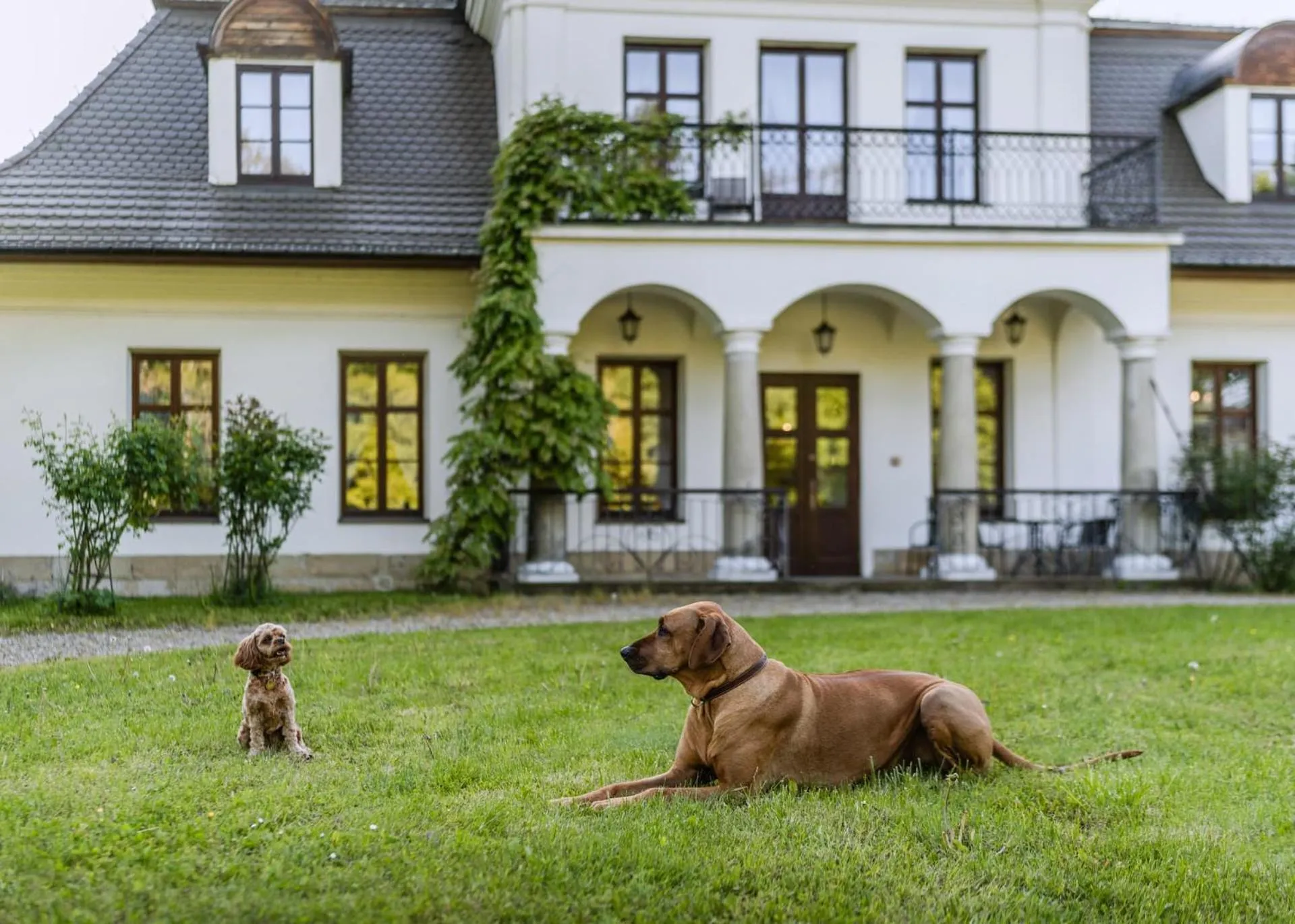 Garden in Dwór Kombornia Hotel&SPA