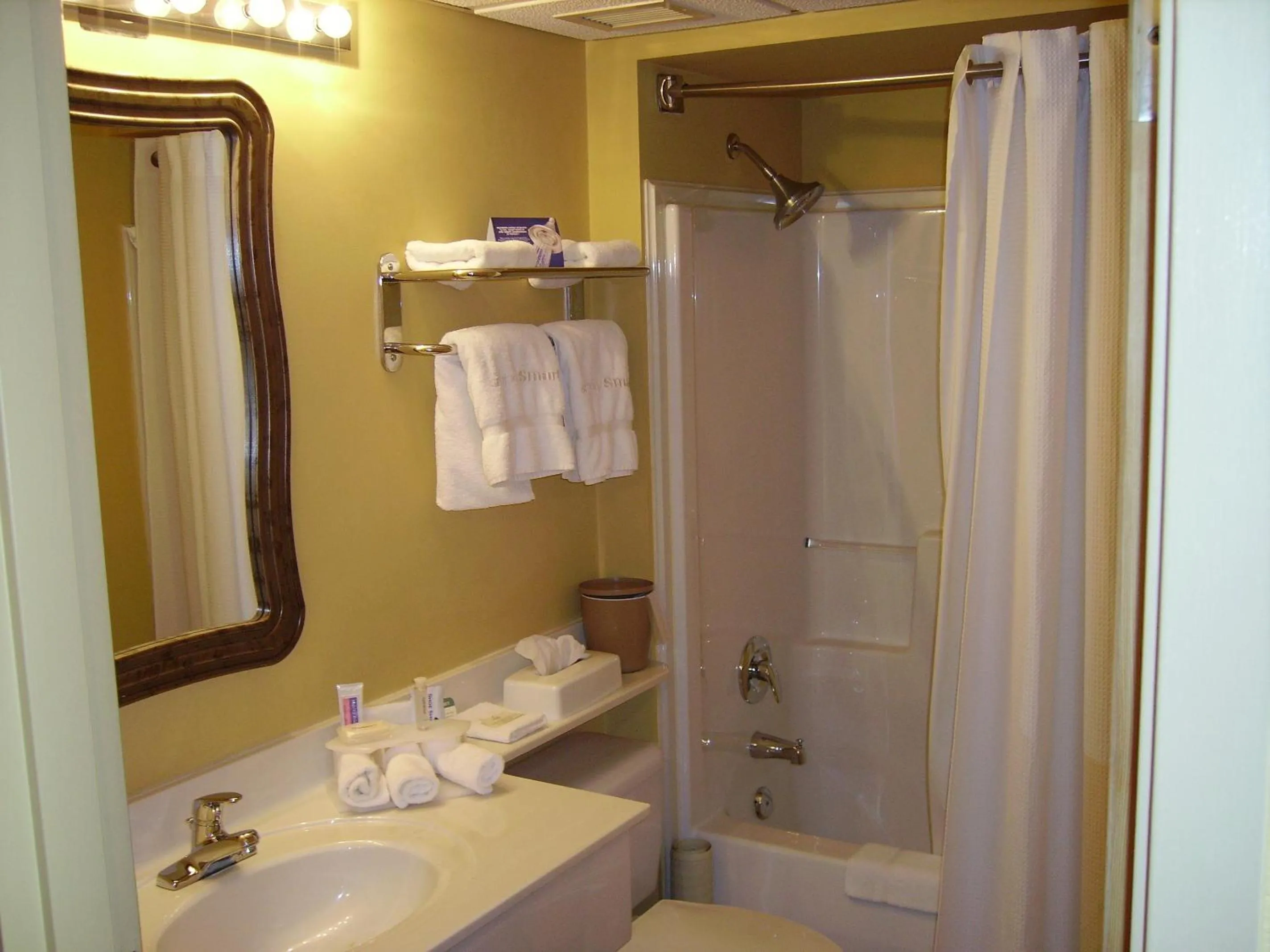 Bathroom in Holiday Inn Express Dryden by IHG