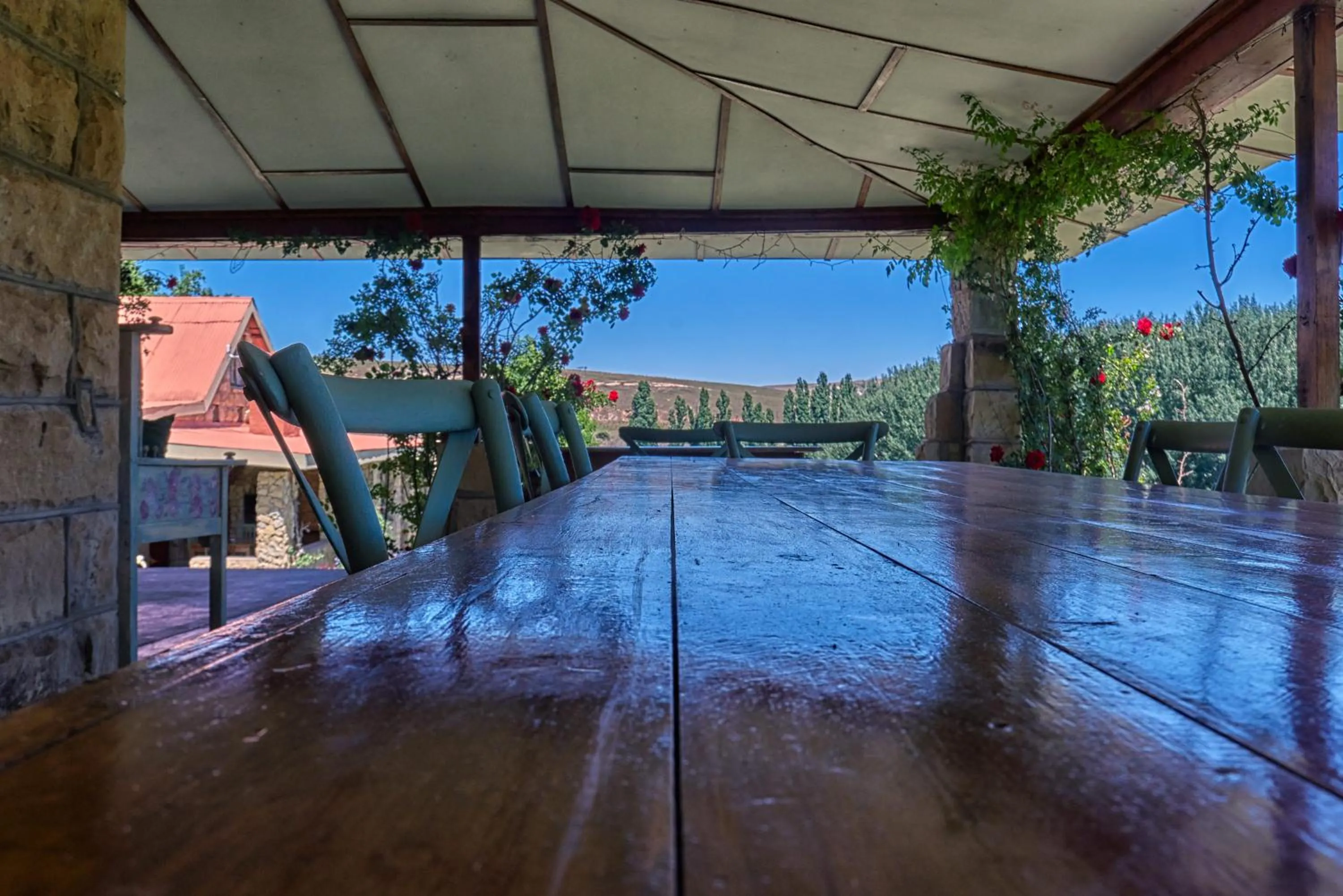 View (from property/room) in Linwood Guest Farm