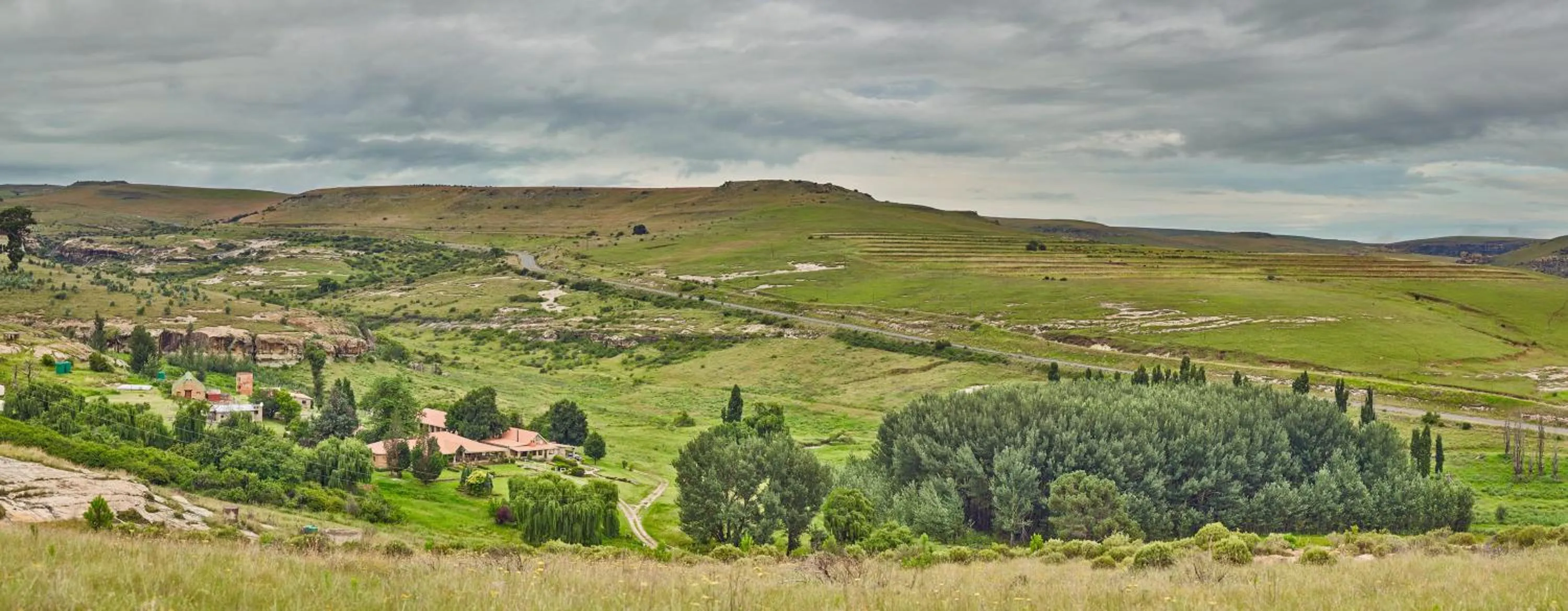 Bird's eye view in Linwood Guest Farm