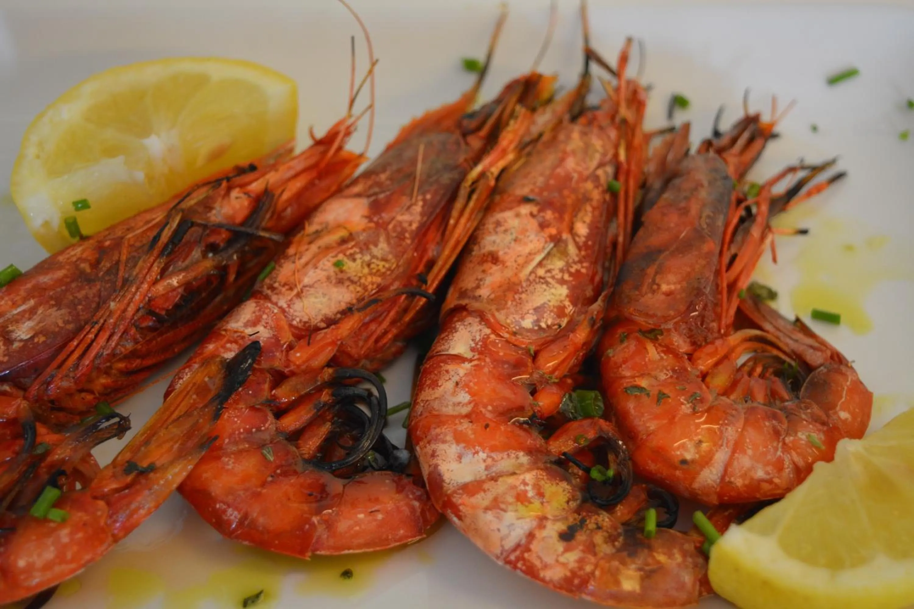 Lunch in Hotel Ristorante Mediterraneo Faro