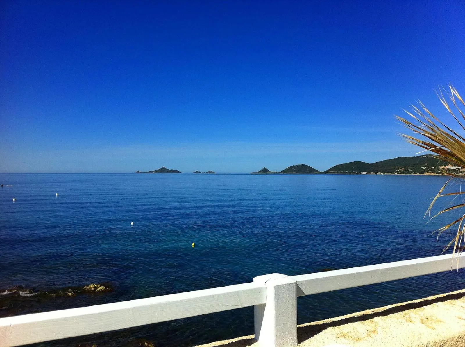 Natural landscape in Hotel Stella Di Mare