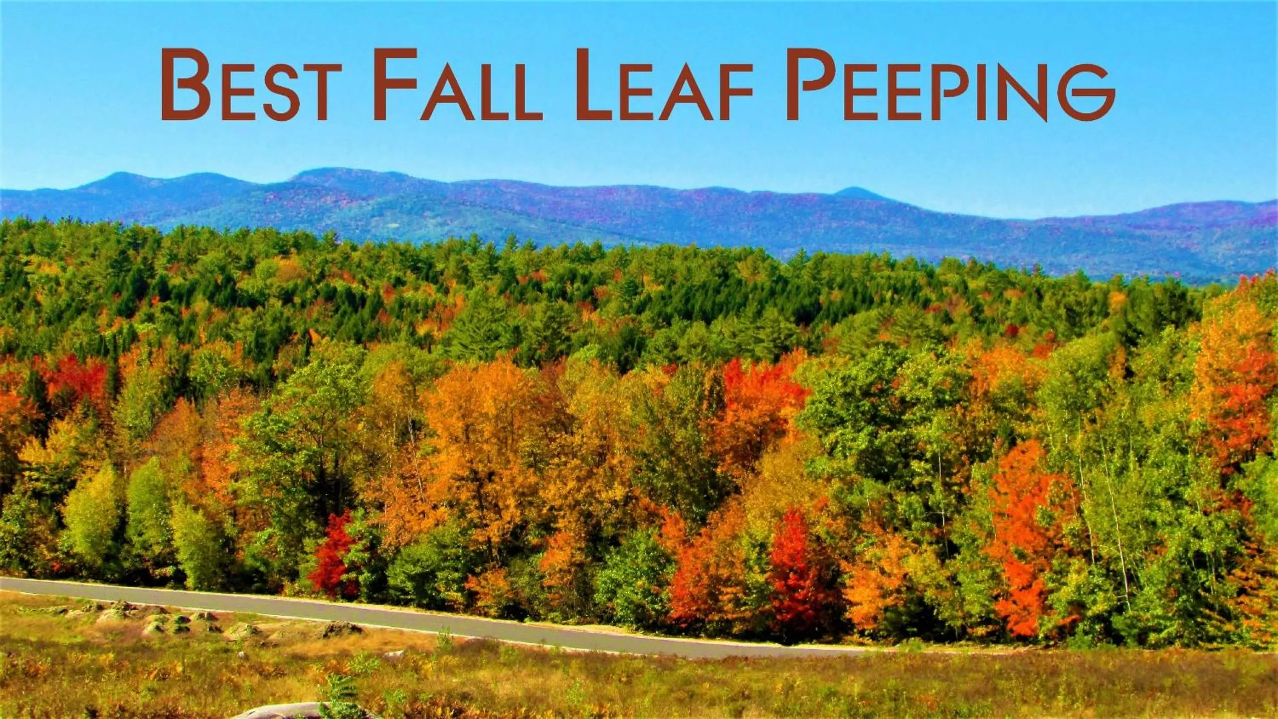 View (from property/room) in Center Lovell Inn