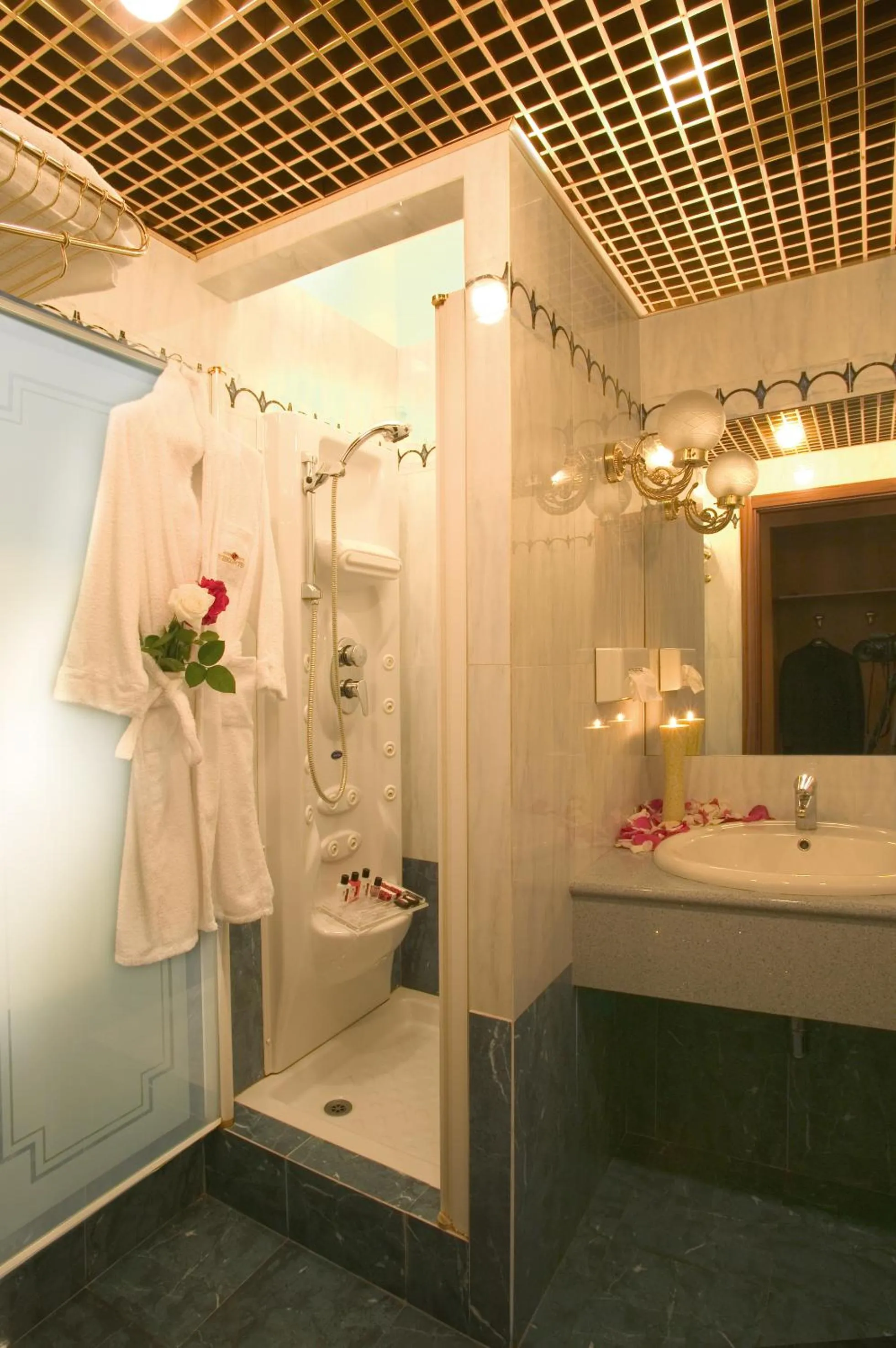 Shower in Hotel Motel Visconteo