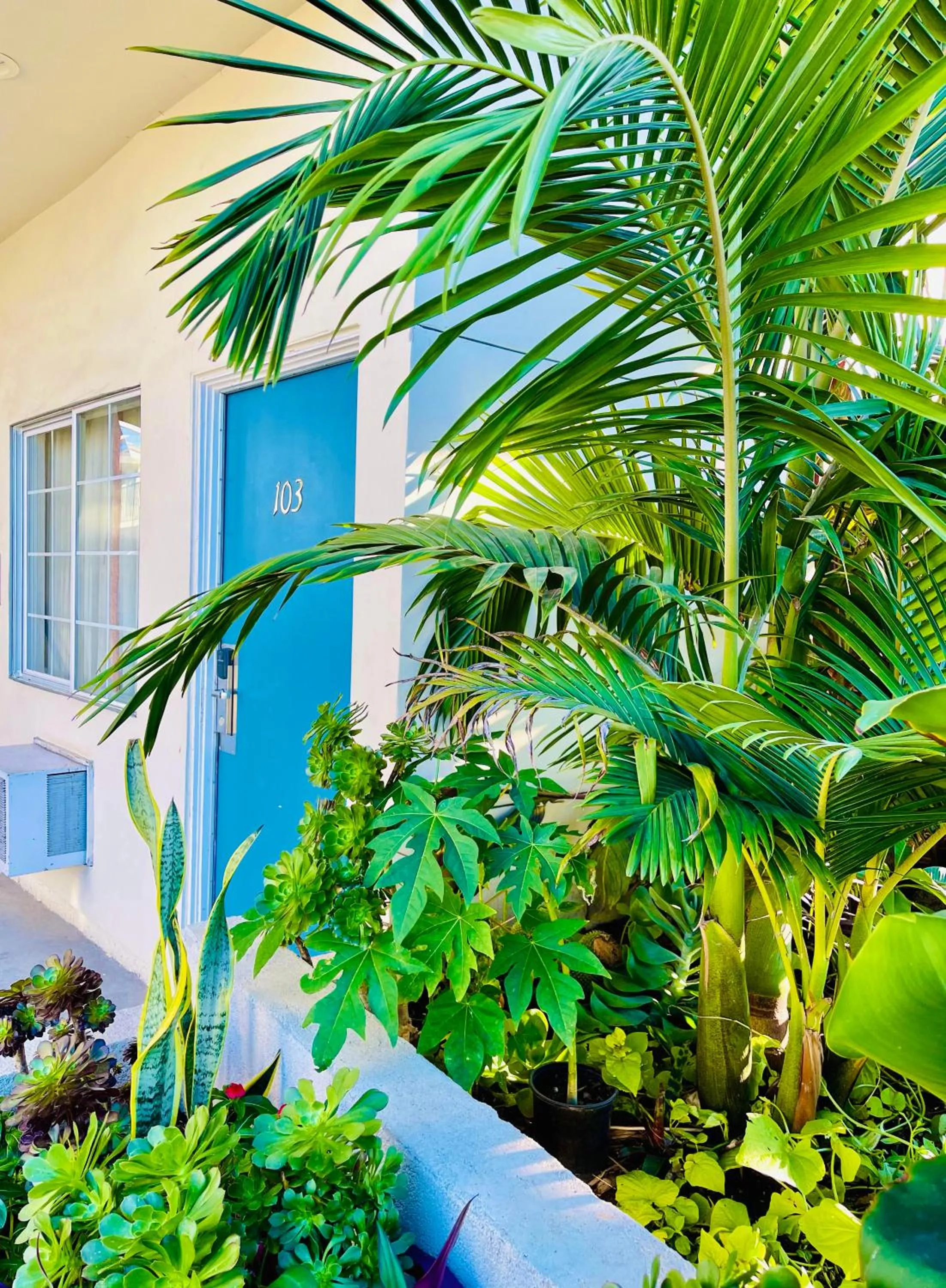 Property building in Villa Serena