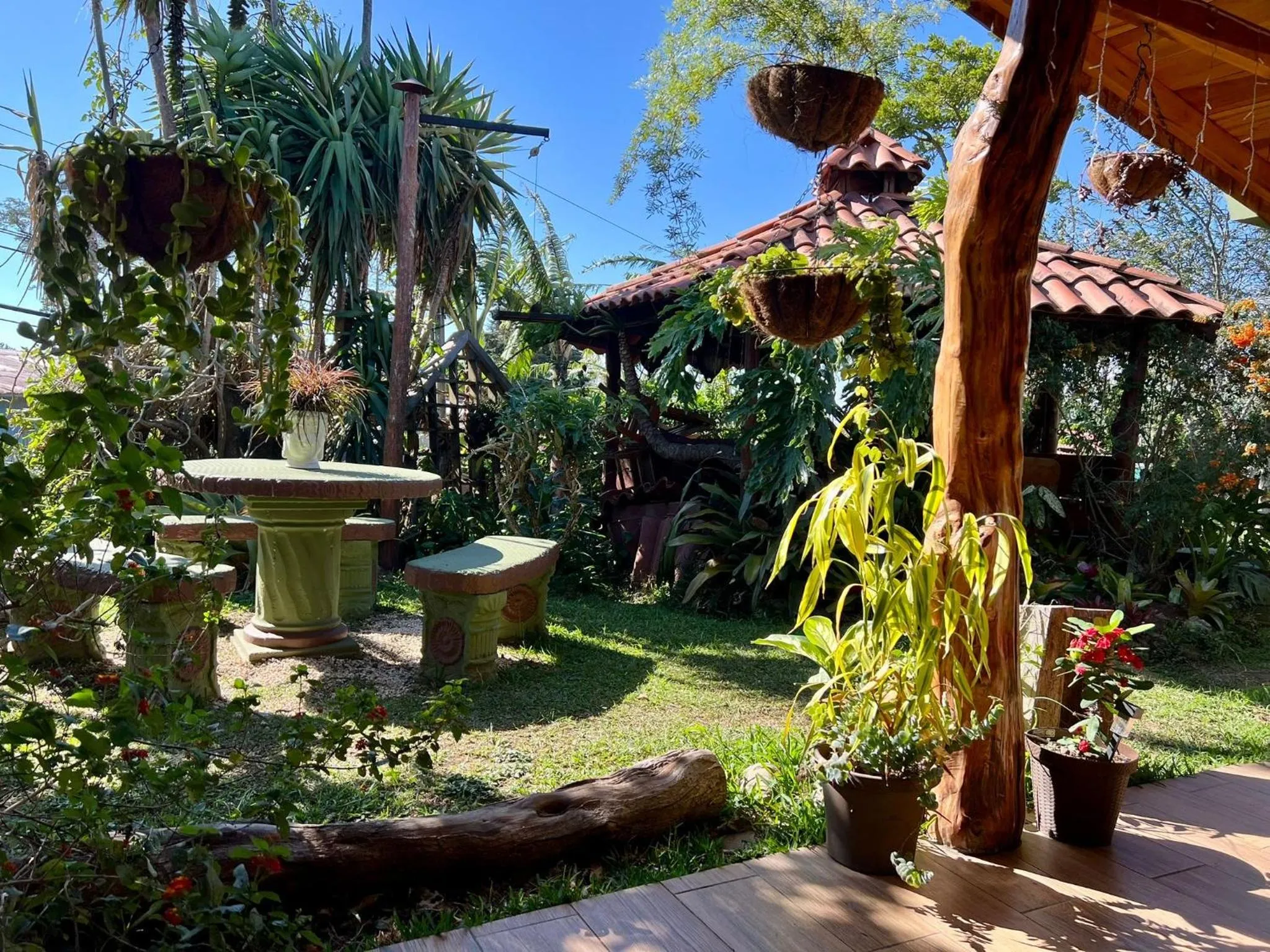 Garden in Casa Haydee Monteverde