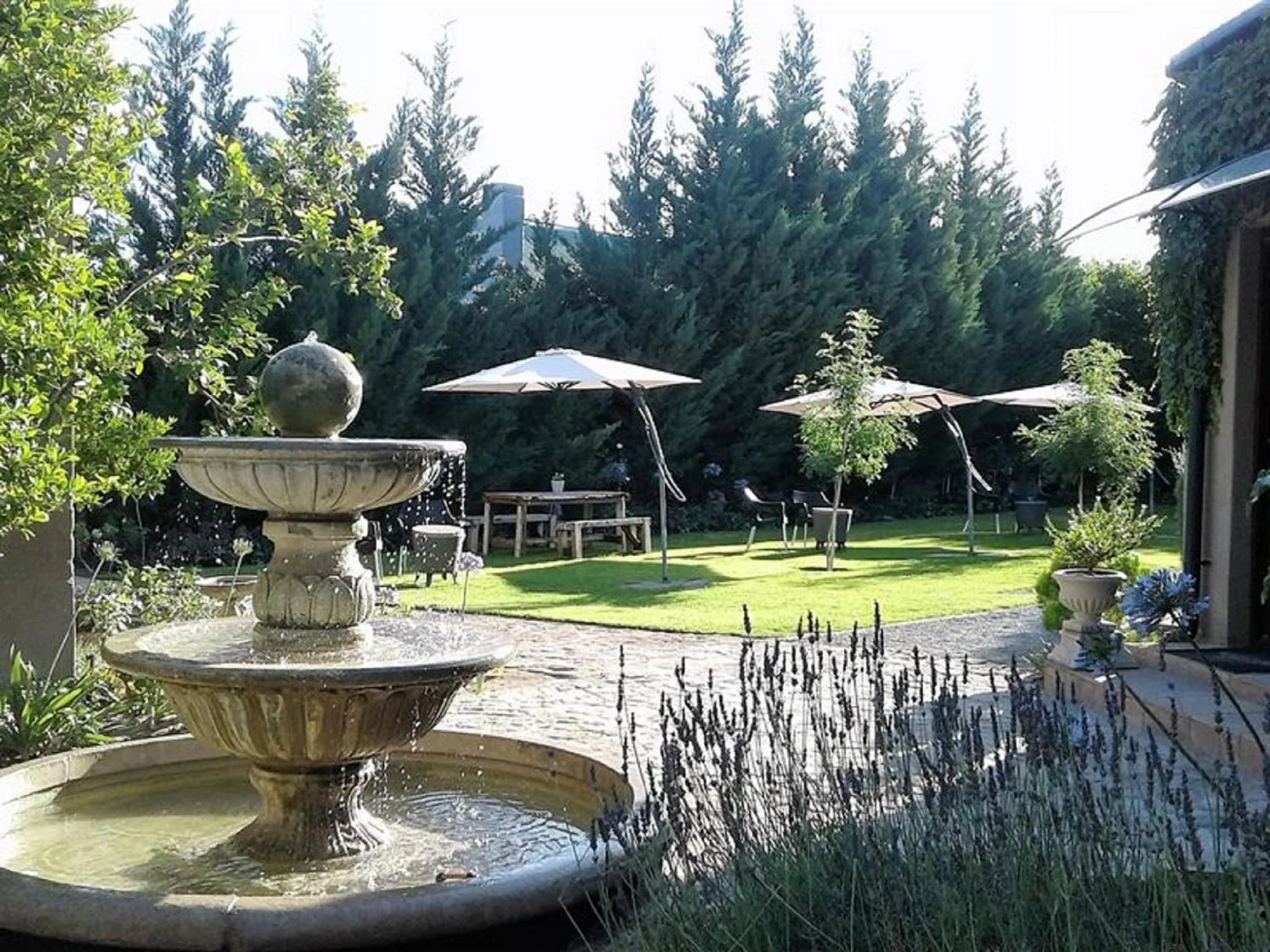 Garden in Old House Lodge