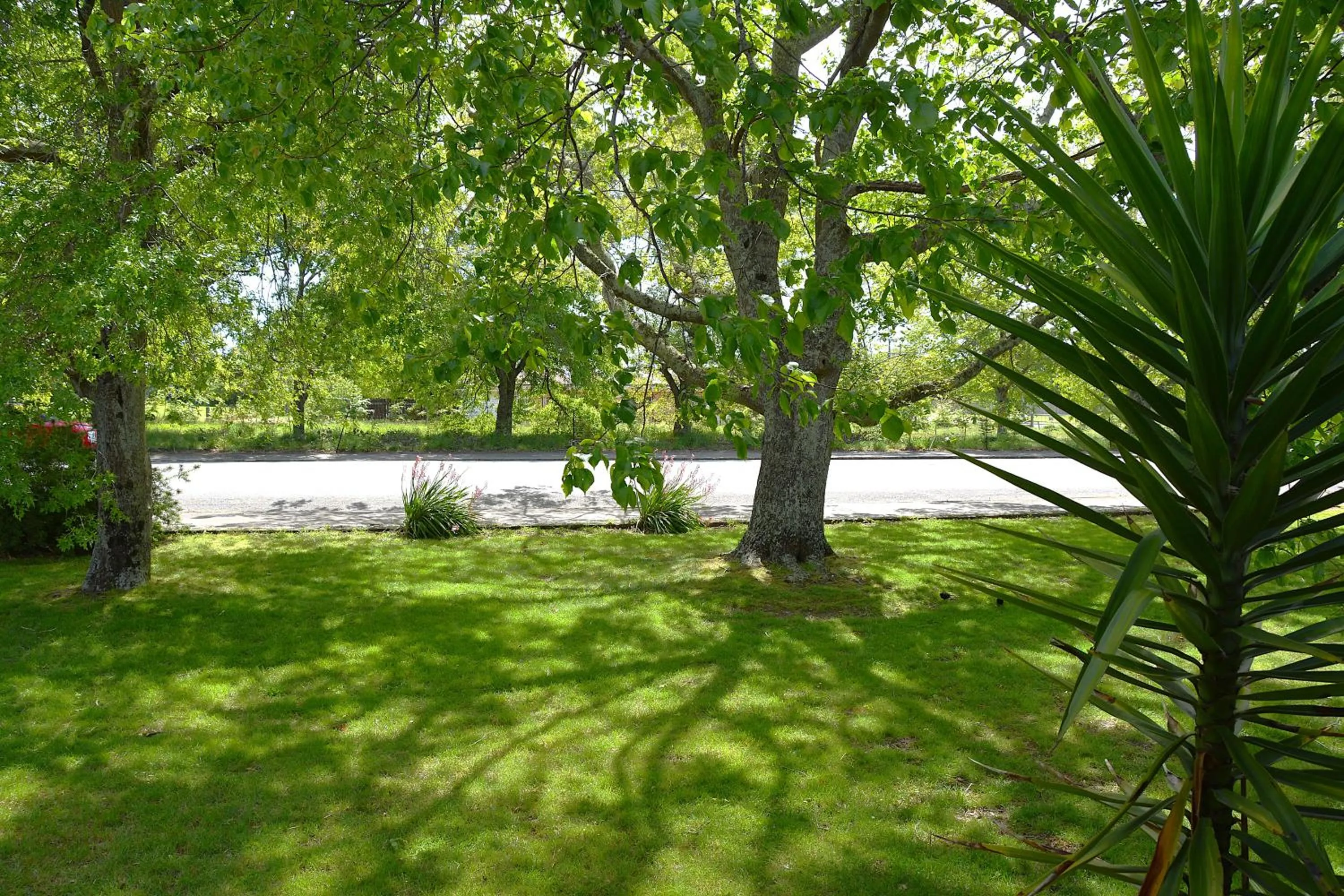 View (from property/room) in ASURE Oak Estate Motor Lodge