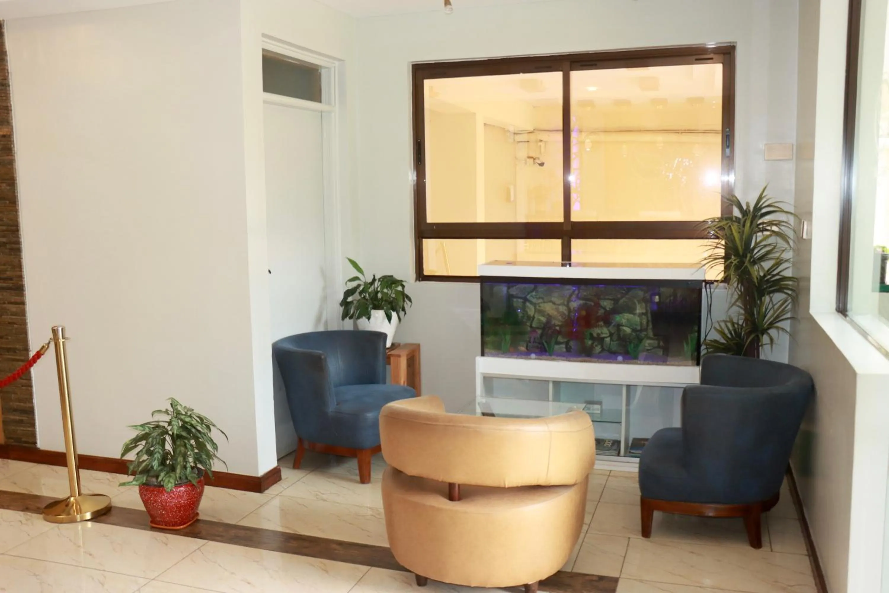 Lobby or reception in Melili Hotel