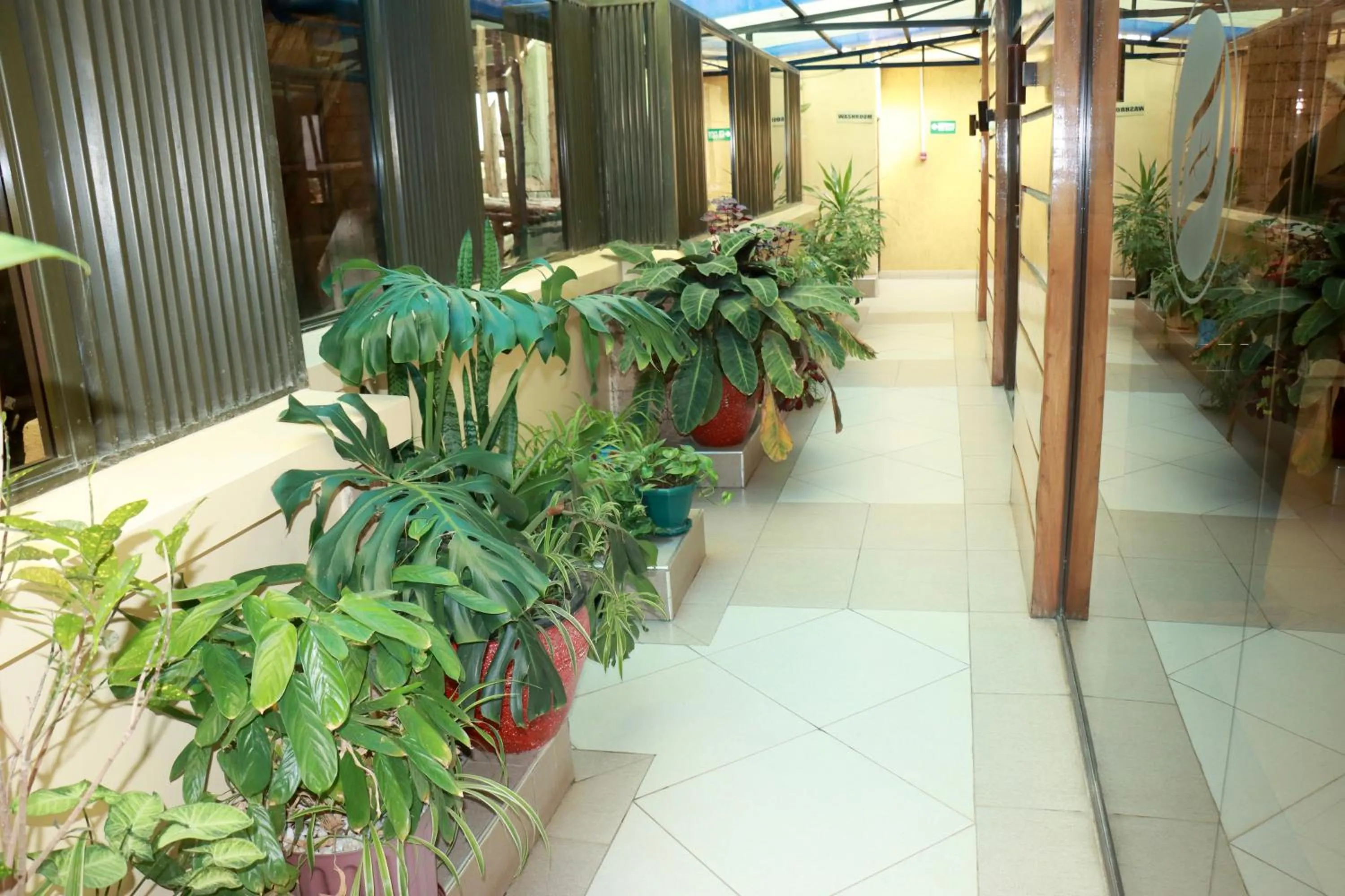 Garden in Melili Hotel