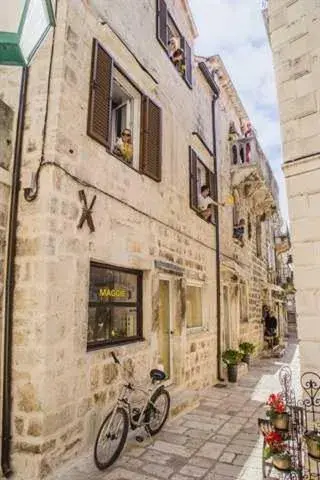 White Rabbit Hostel White Rabbit Hostel