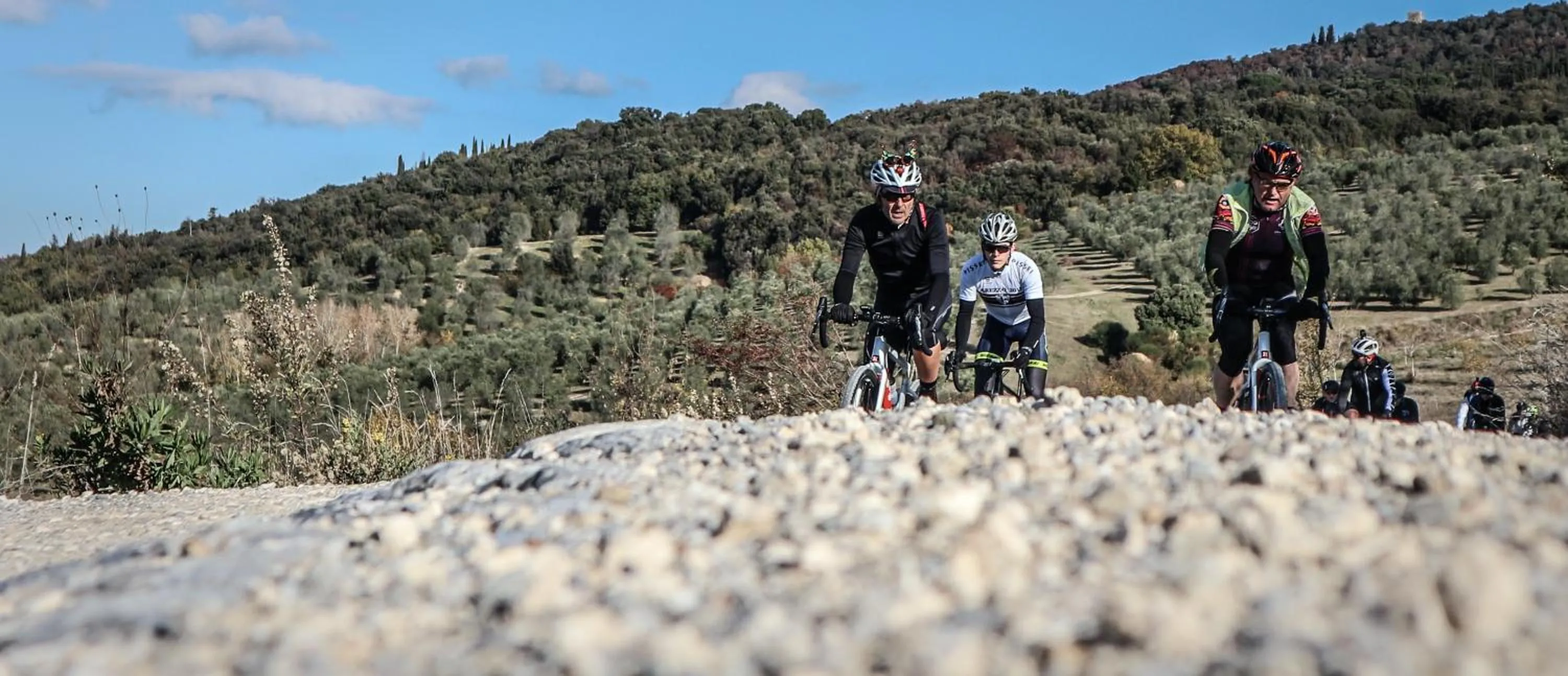 Activities in B&B Il Molinello