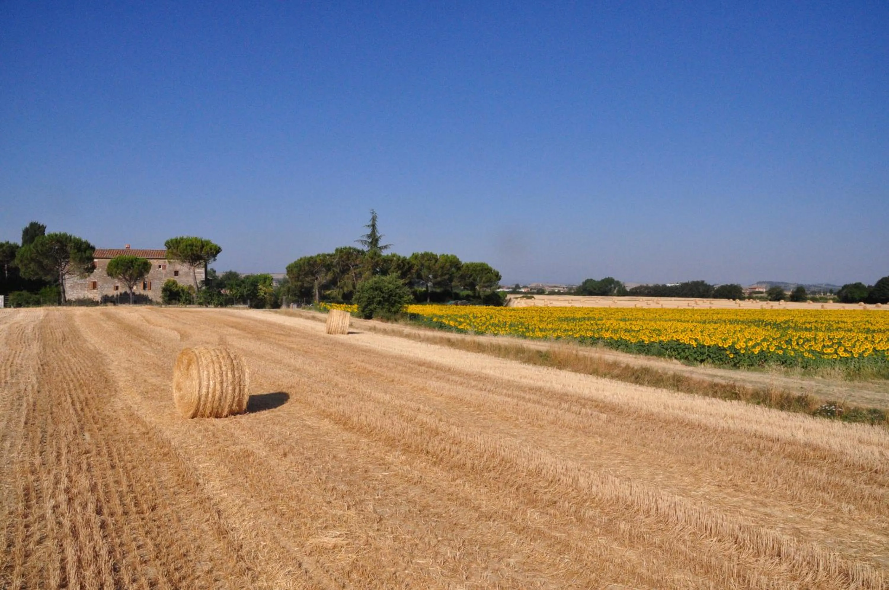 Property building in B&B Il Molinello