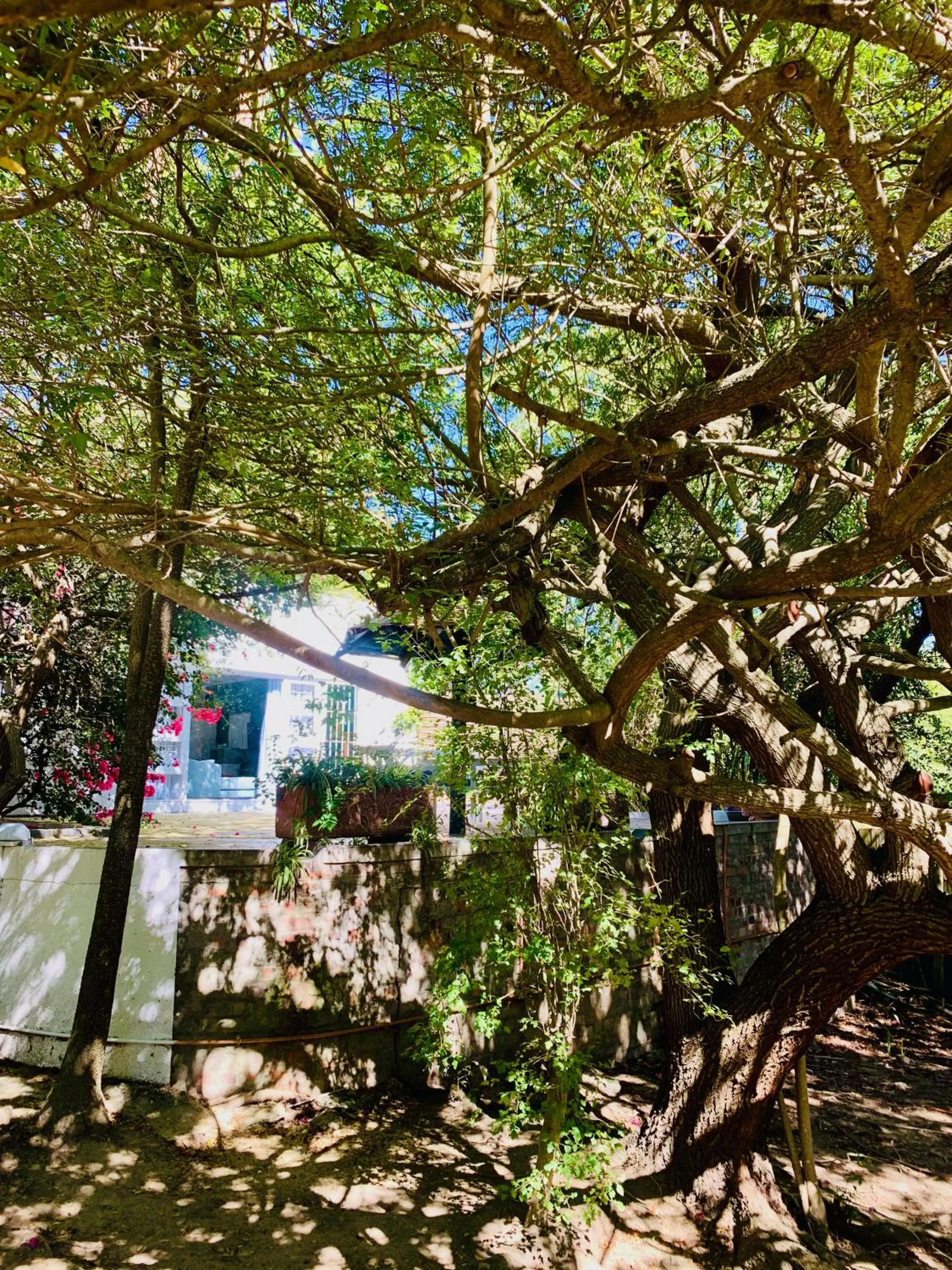 The Little Hideaway Guesthouse