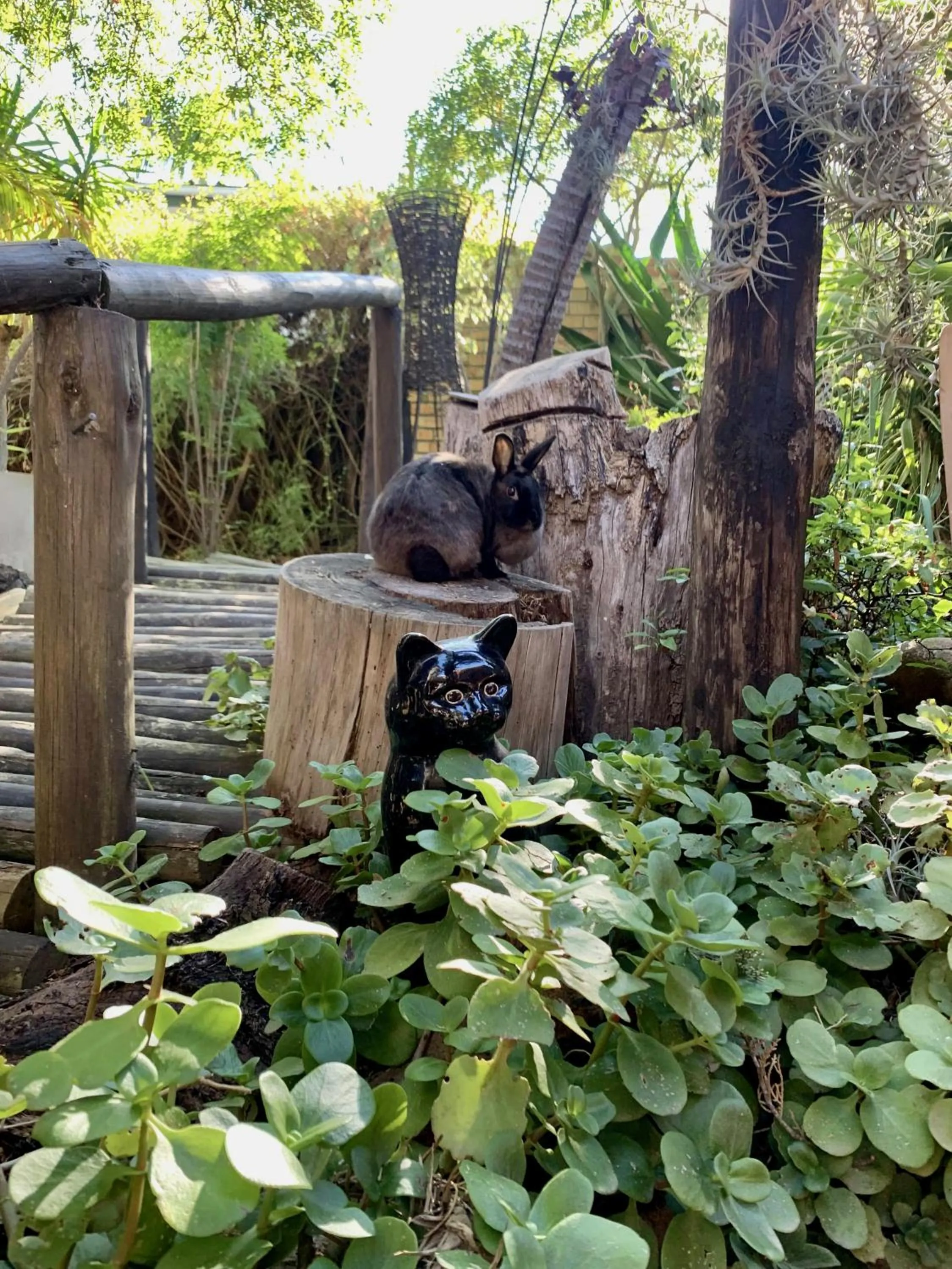 The Little Hideaway Guesthouse