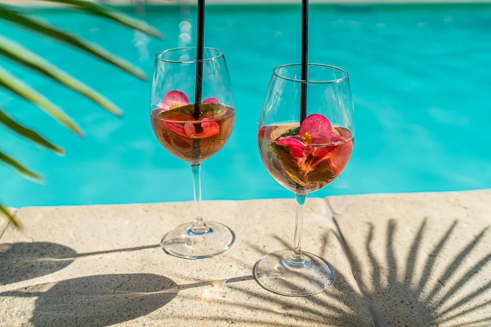 Alcoholic drinks in Hotel Martini