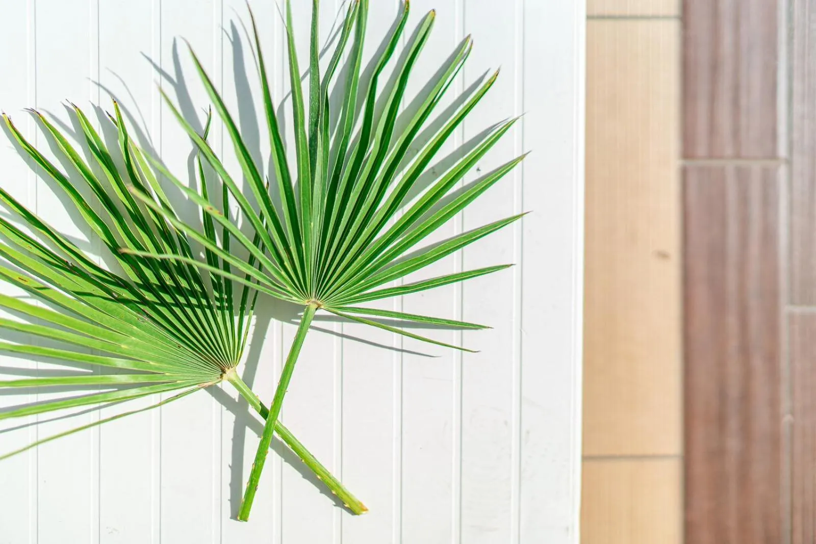 Decorative detail in Hotel Martini