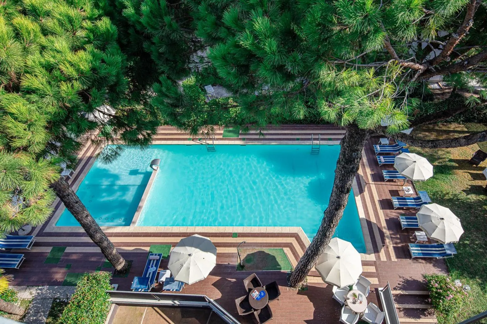 Garden in Hotel Martini