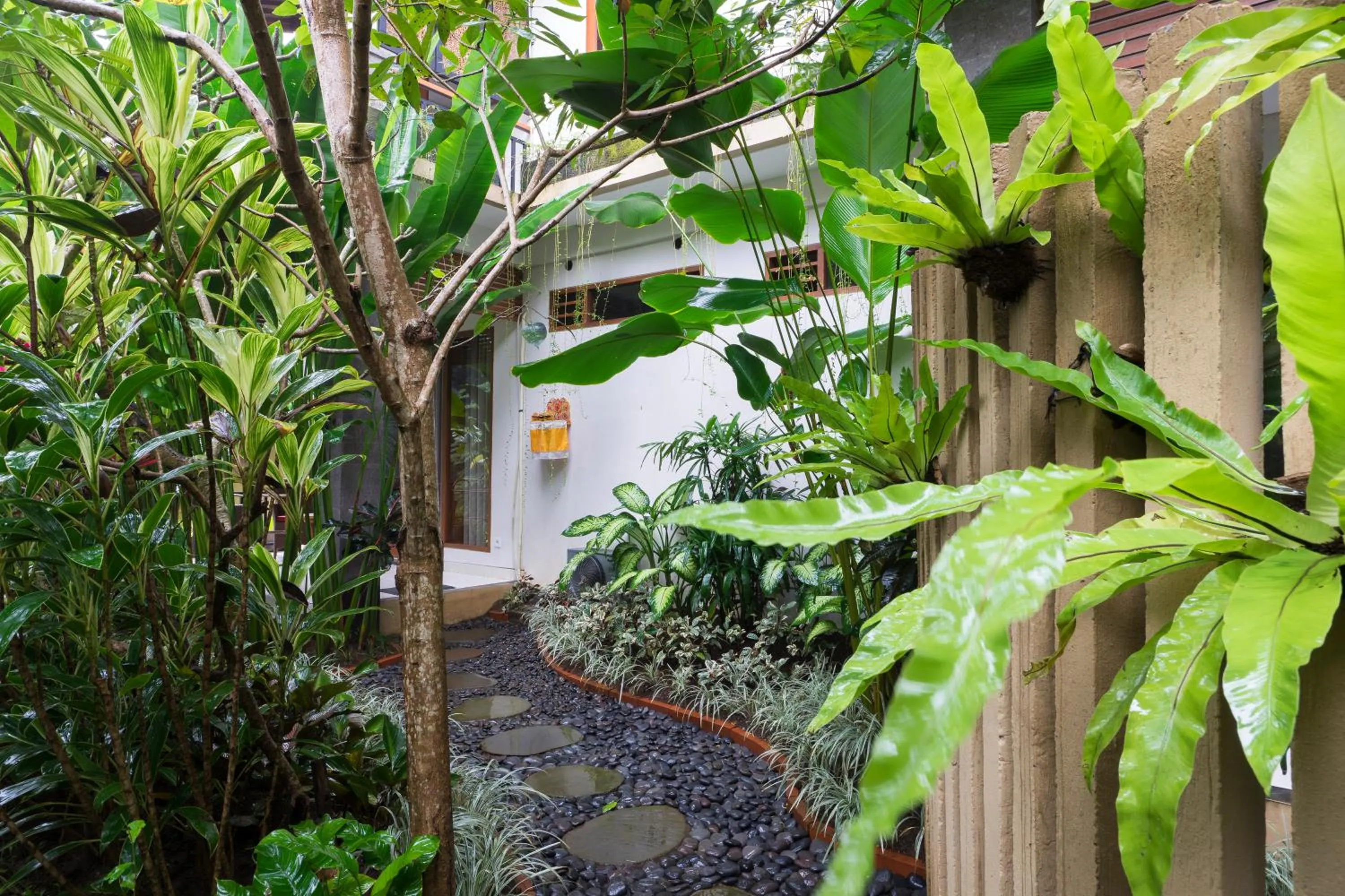 Garden in Jungle Haven Resort Central Ubud