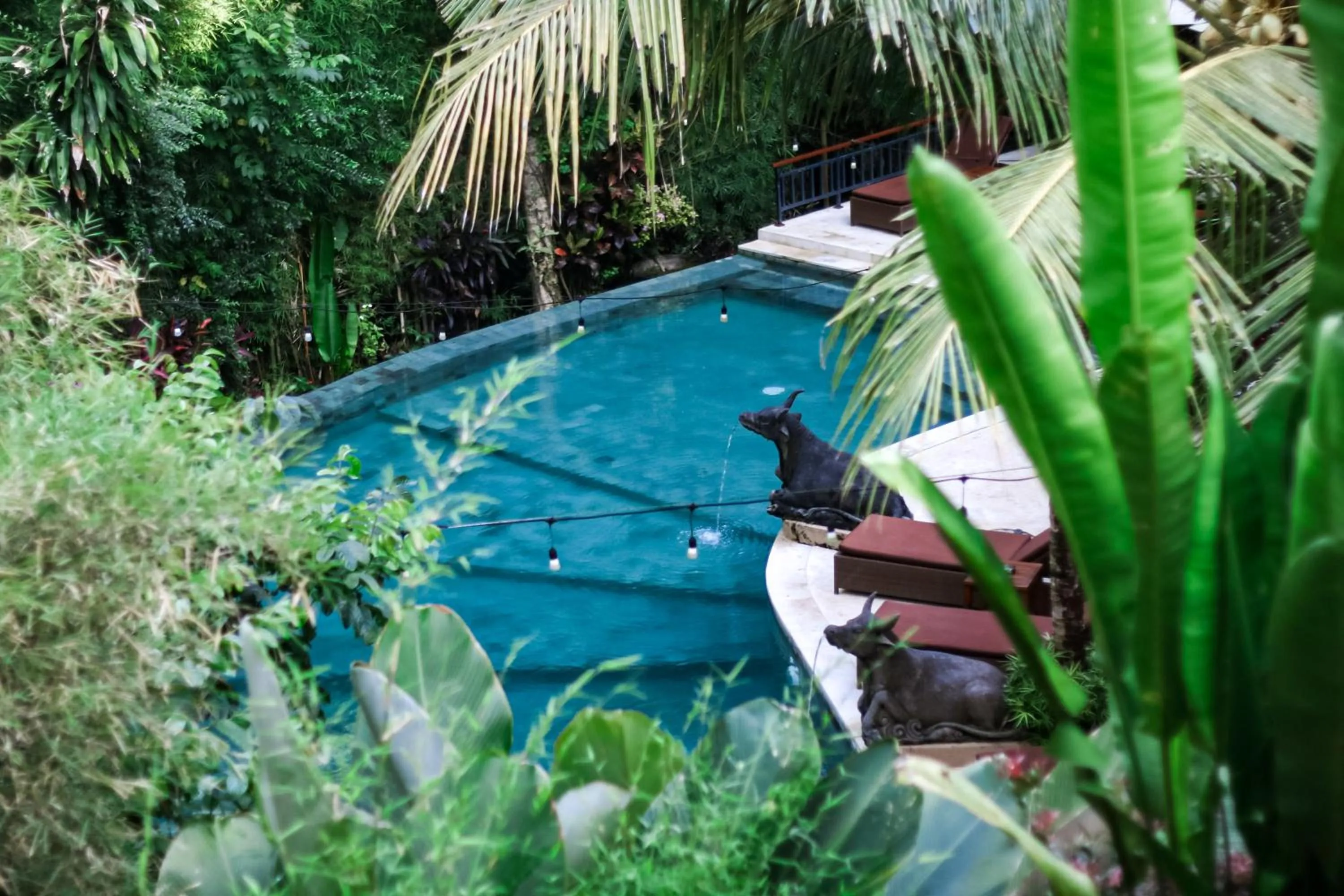 Pool view in Jungle Haven Resort Central Ubud