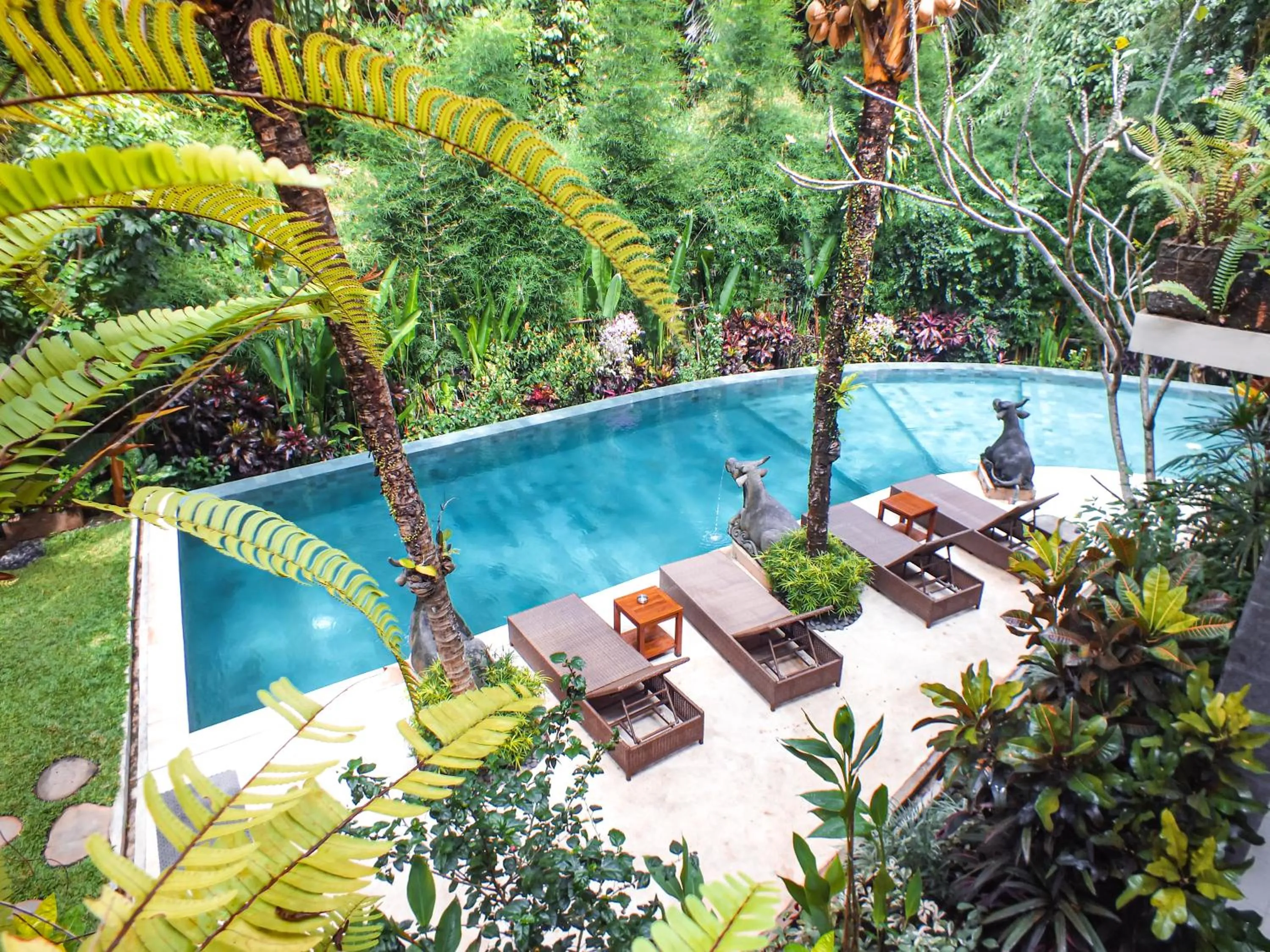 Pool view in Jungle Haven Resort Central Ubud