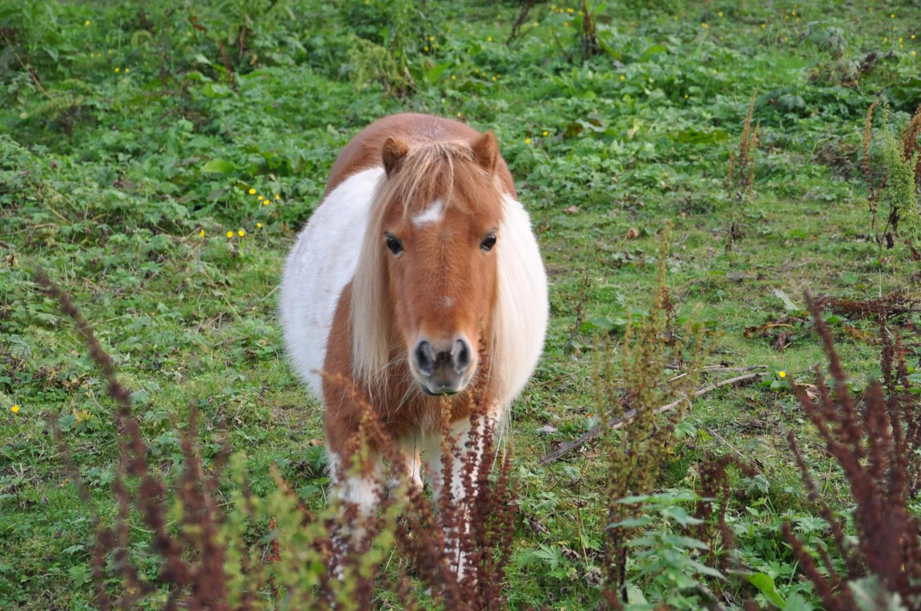 Area and facilities in Hotel Jägerklause