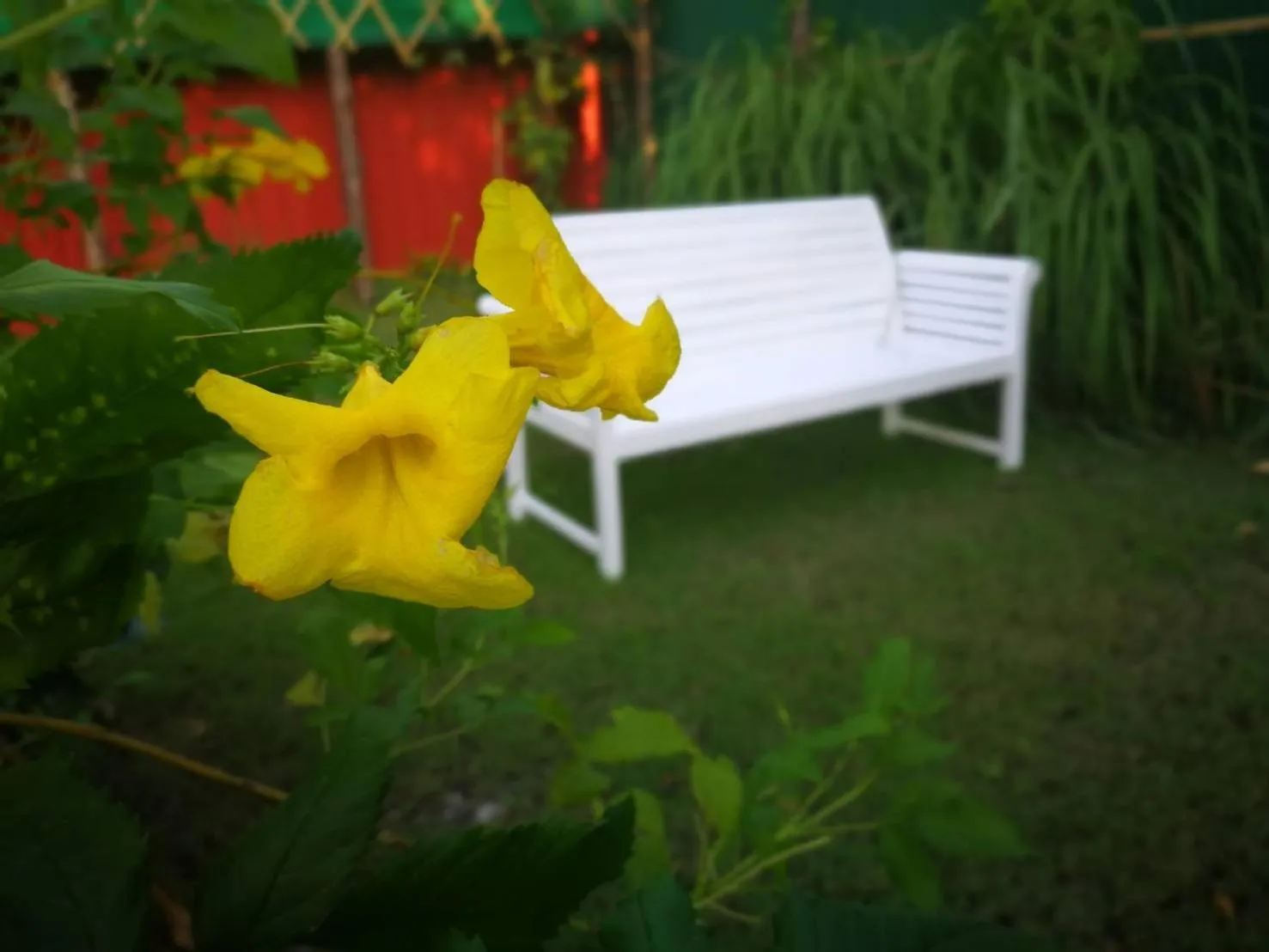 Garden view in Barefeet Naturist Resort