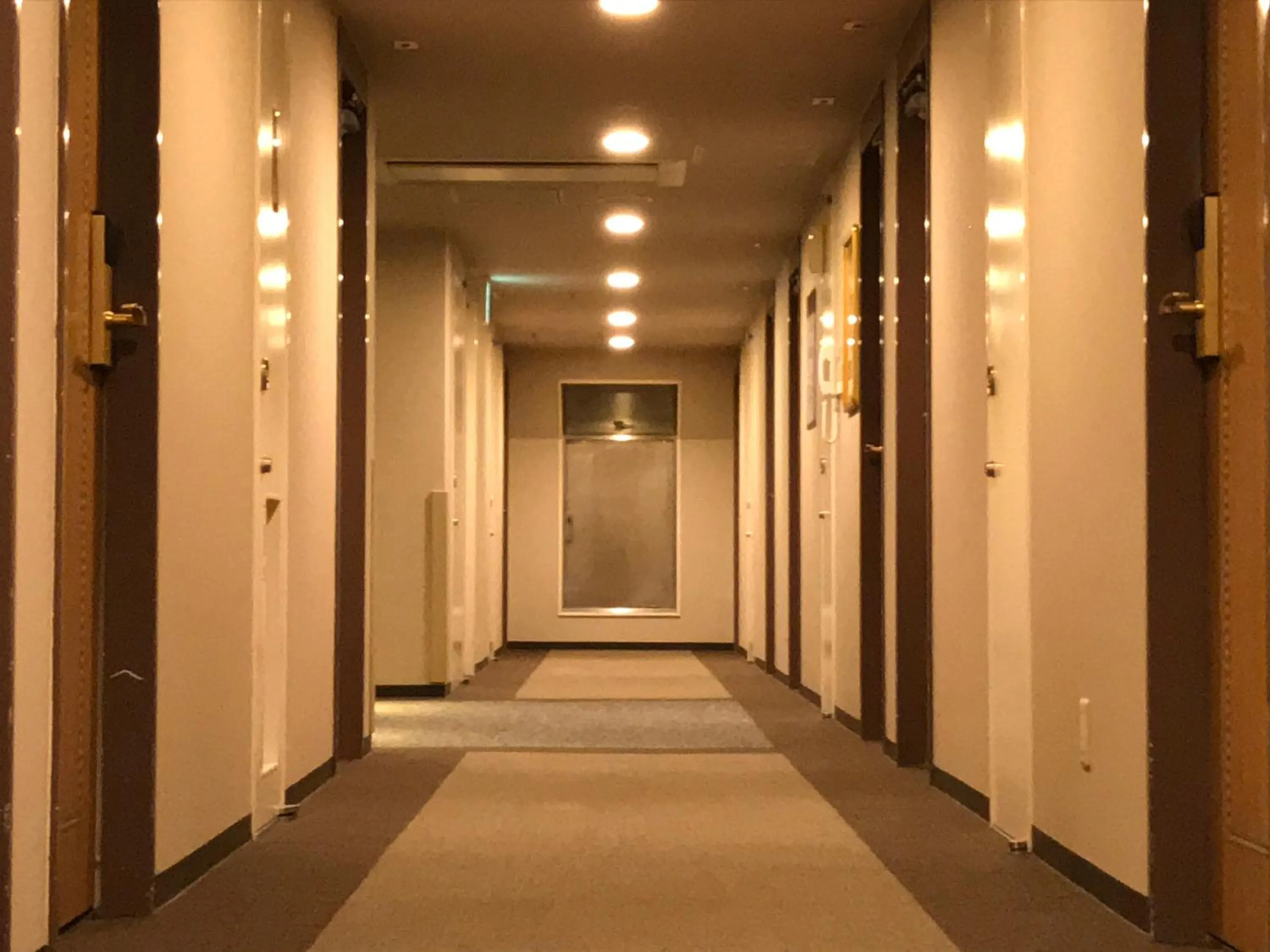 Via Inn Hiroshima Kanayamacho