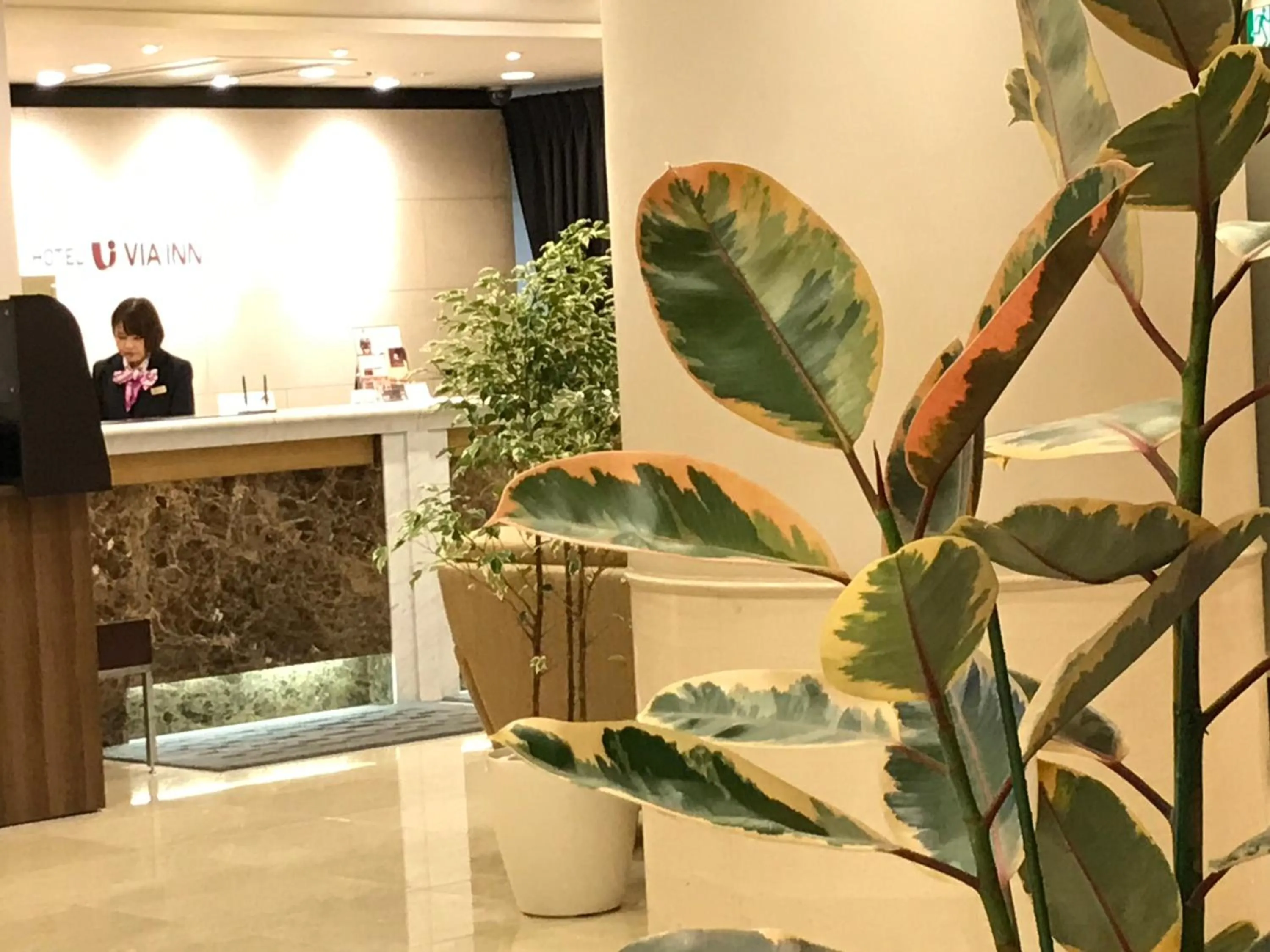 Via Inn Hiroshima Kanayamacho