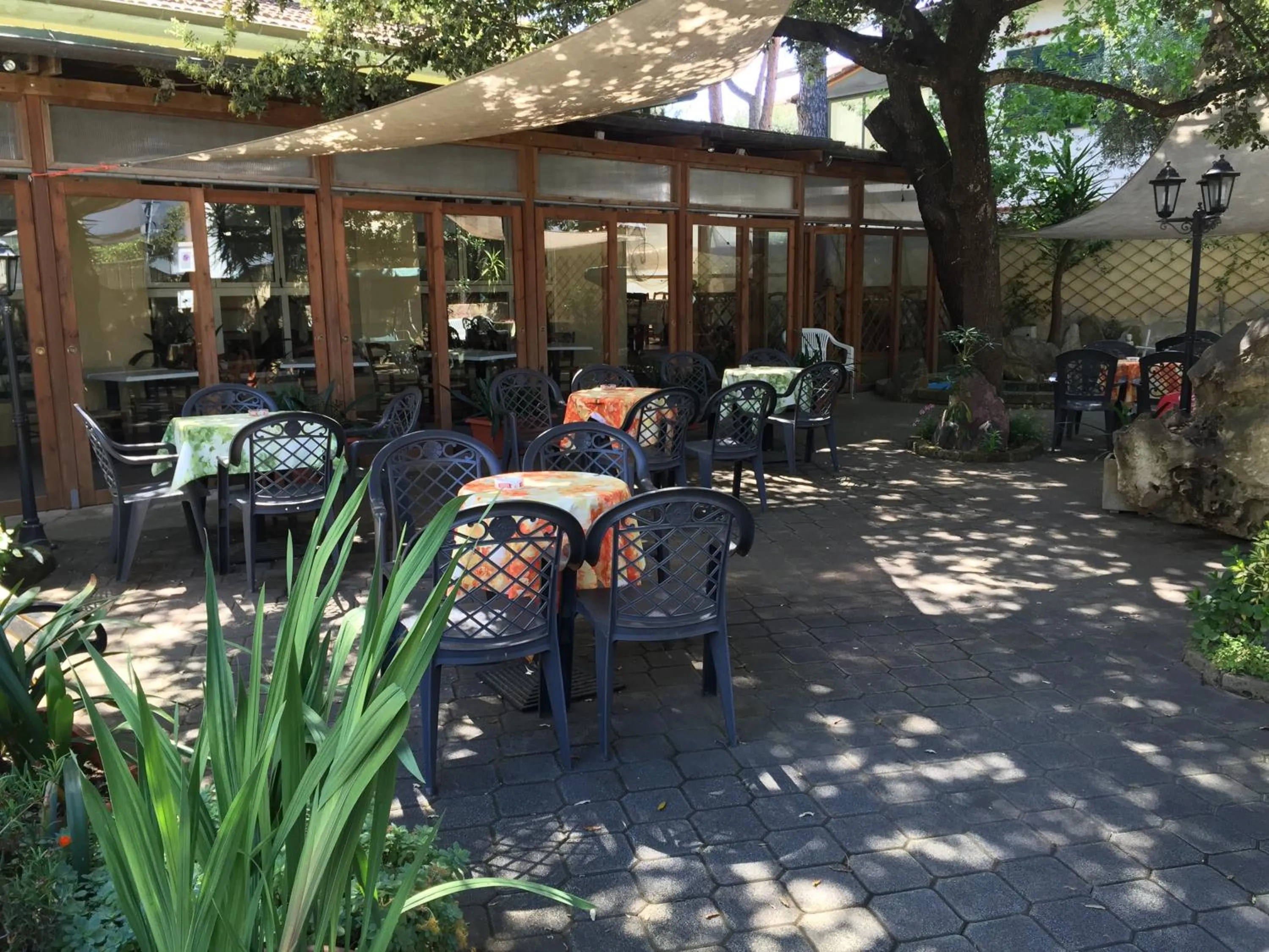 Garden in Hotel Il Pino