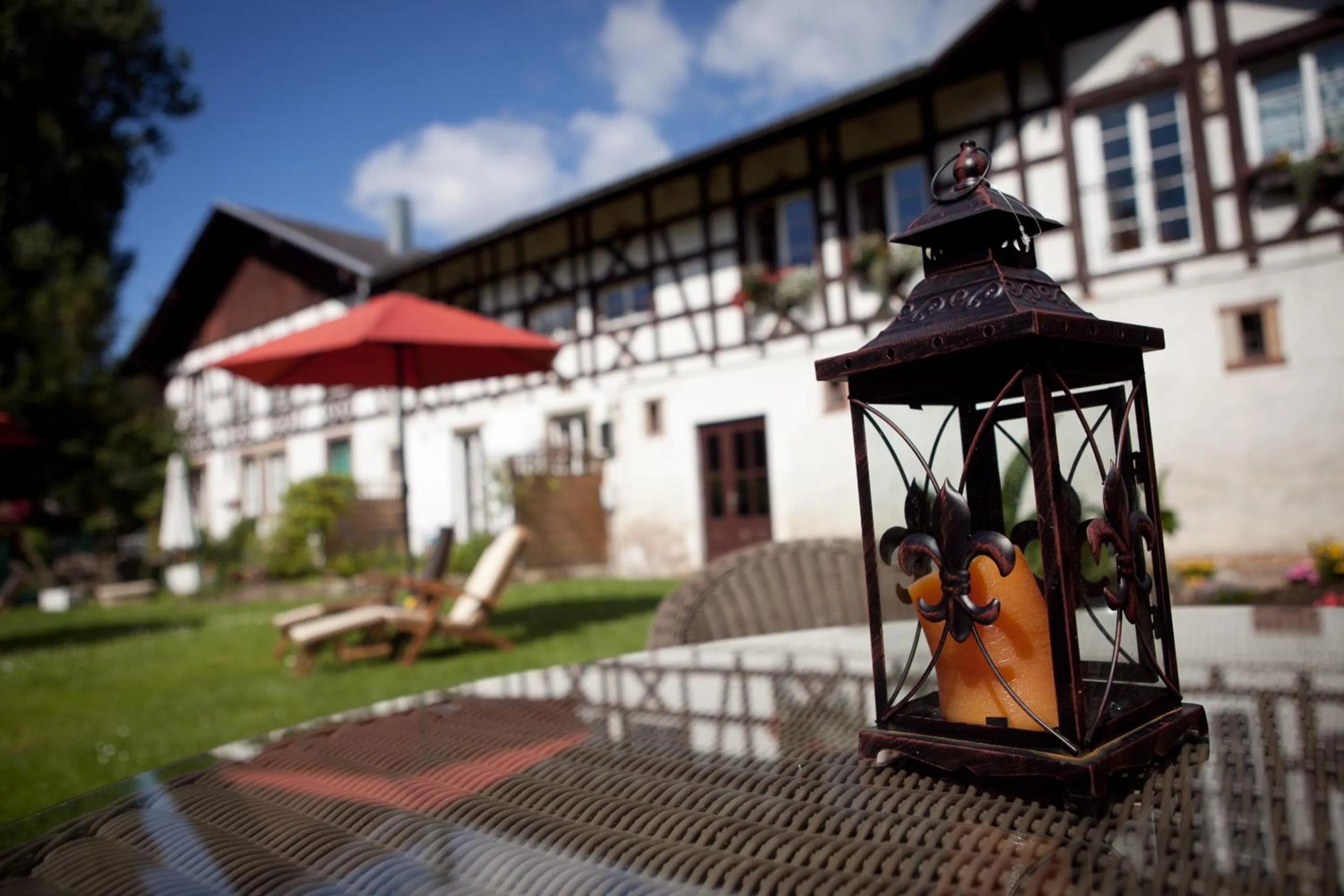Garden in Château de Pourtalès