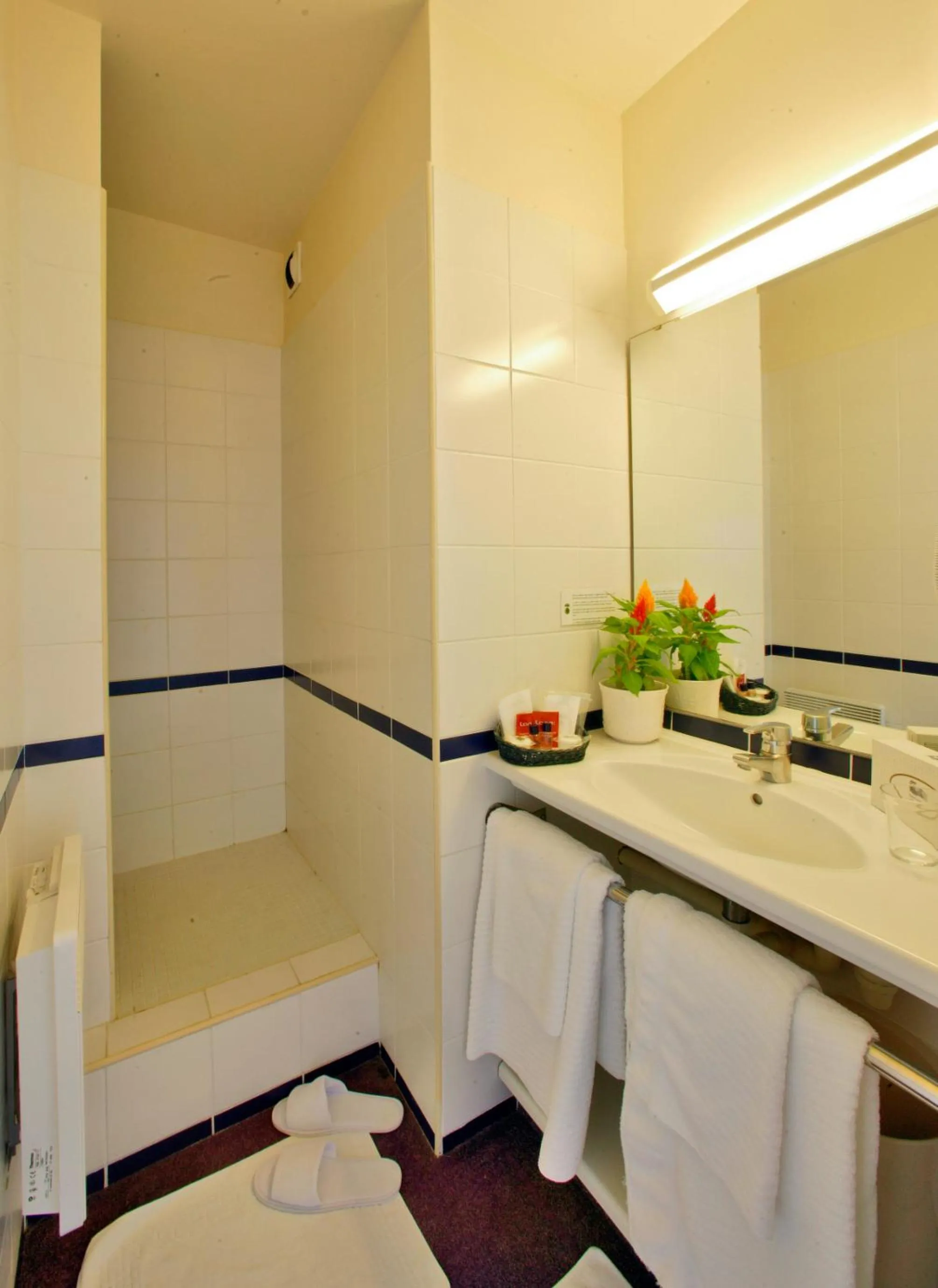 Bathroom in Hôtel Restaurant du Château