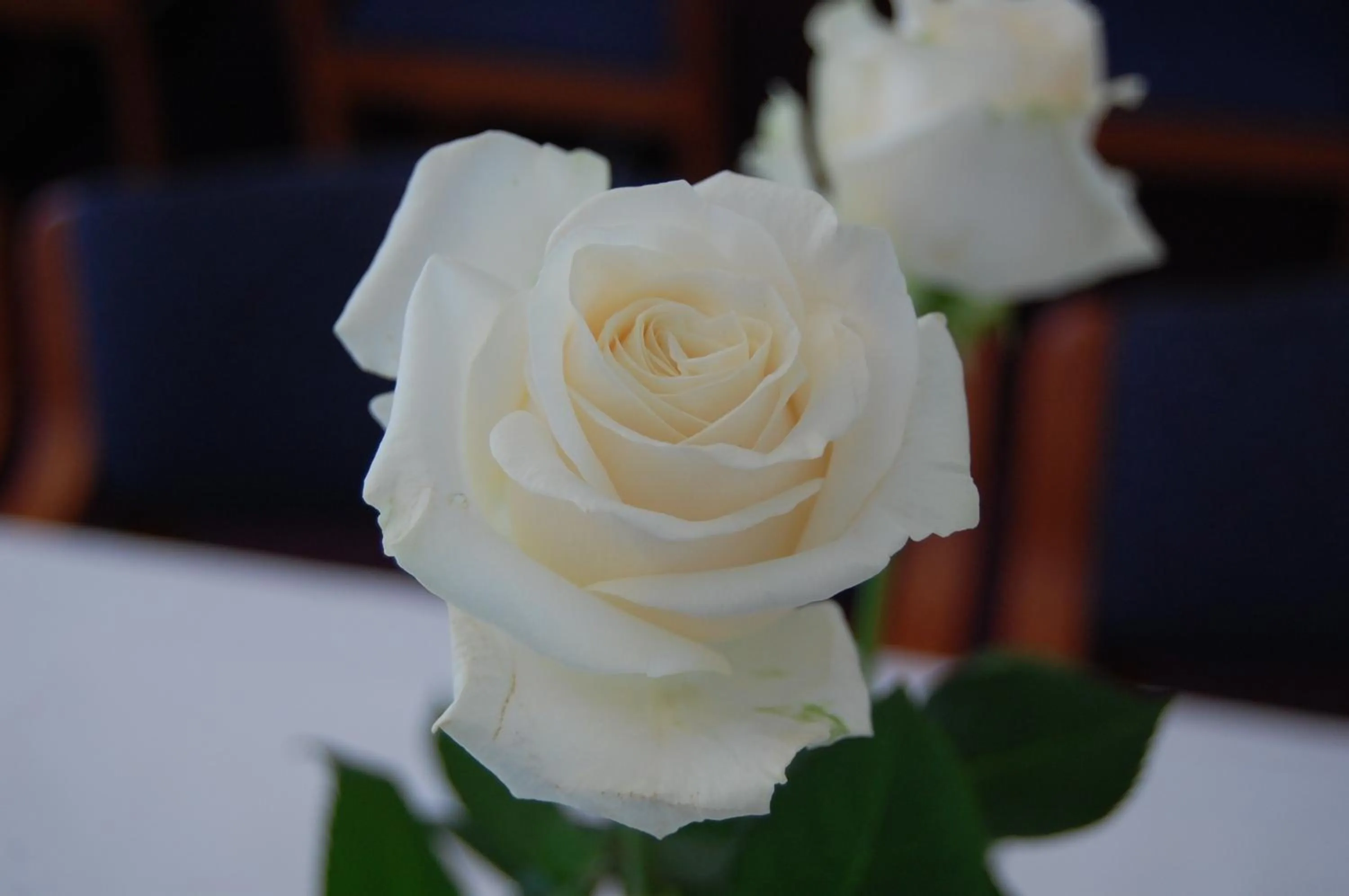 Business facilities in Hotel Balka Strand