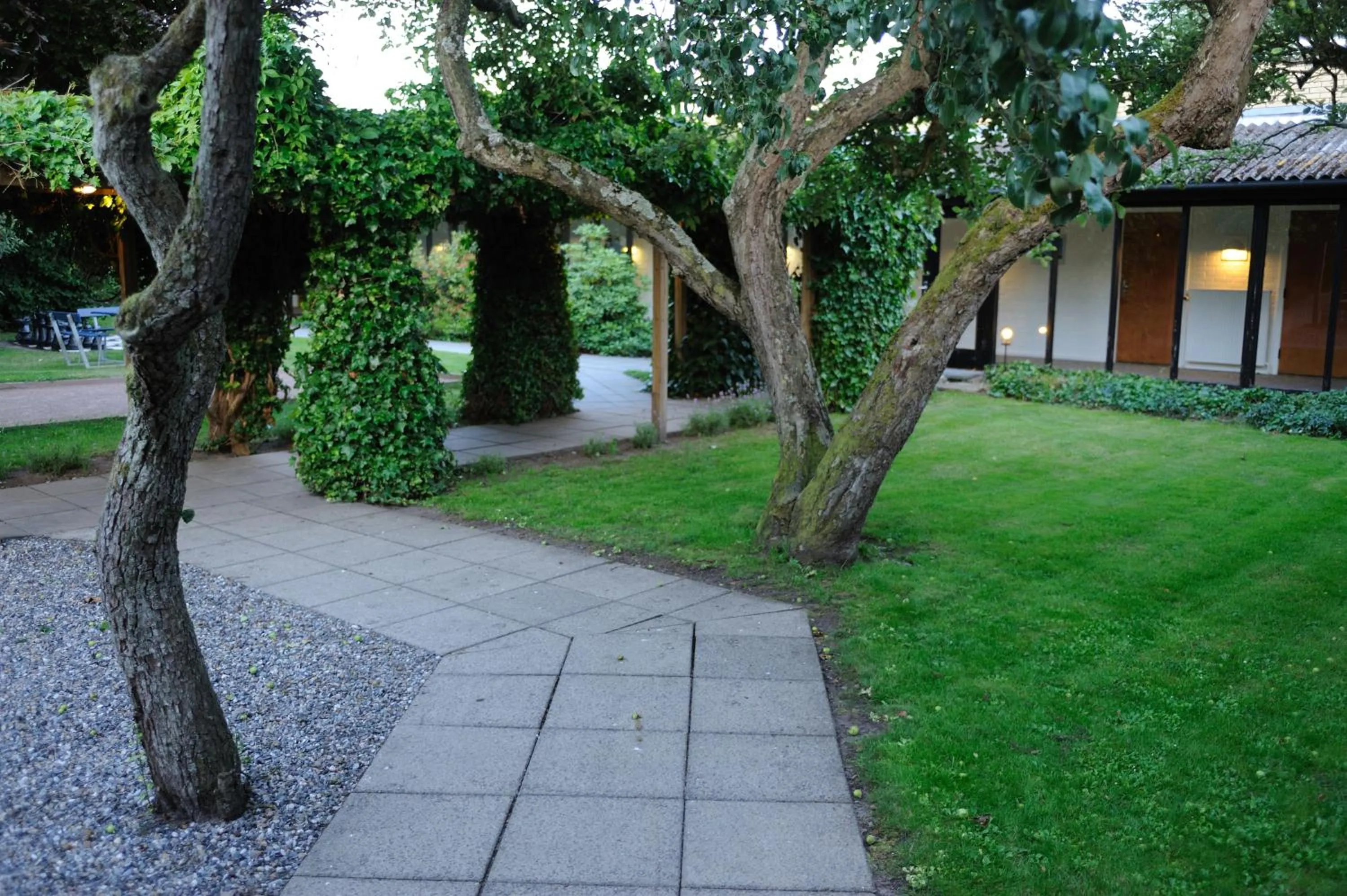 Garden in Hotel Balka Strand