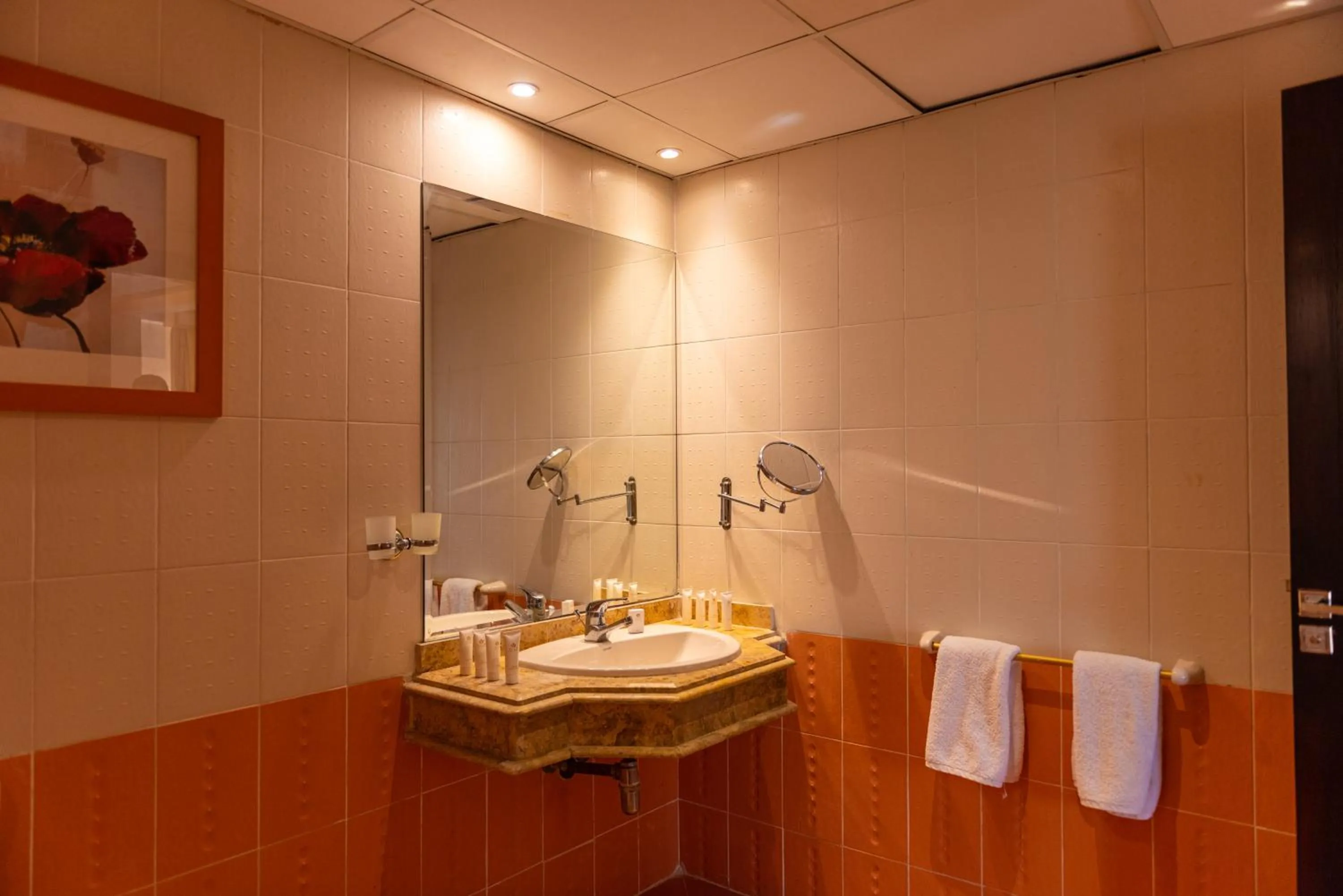 Tolip Family Club Borg El Arab