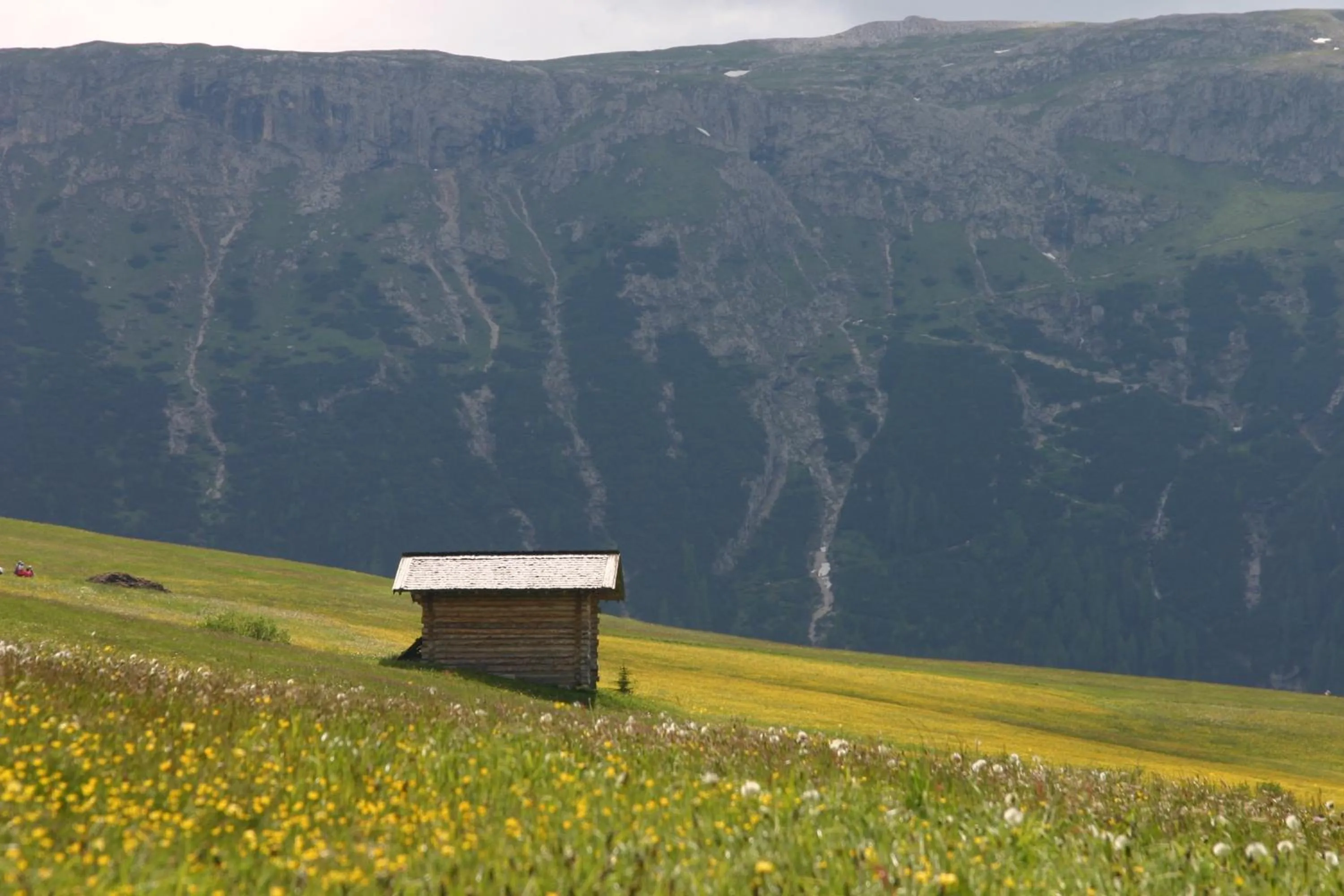 Natural landscape in Seiser Alm Plaza