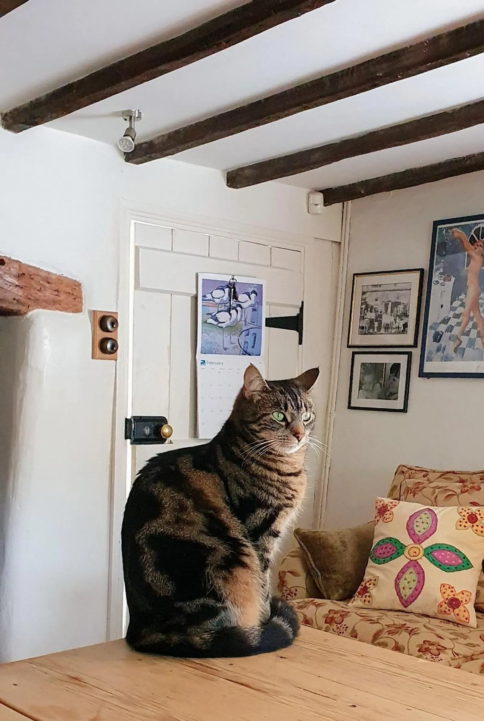 Pets in Tracebridge Cottage B&B