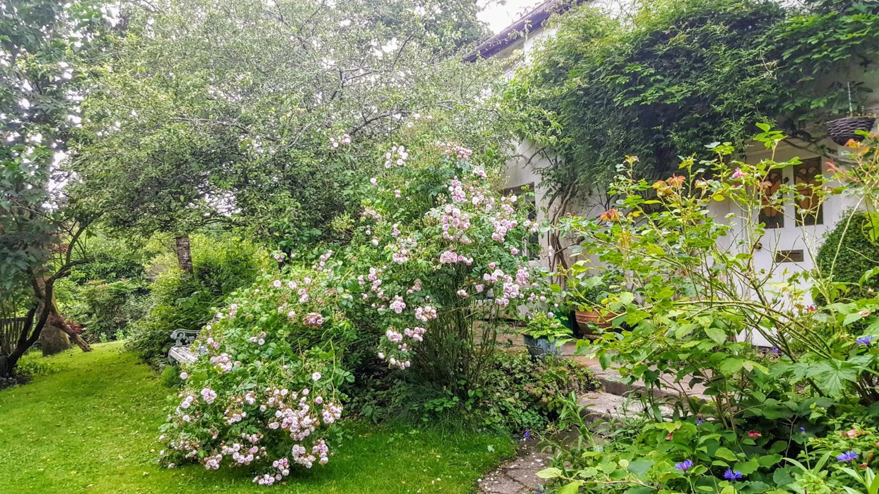 Facade/entrance in Tracebridge Cottage B&B