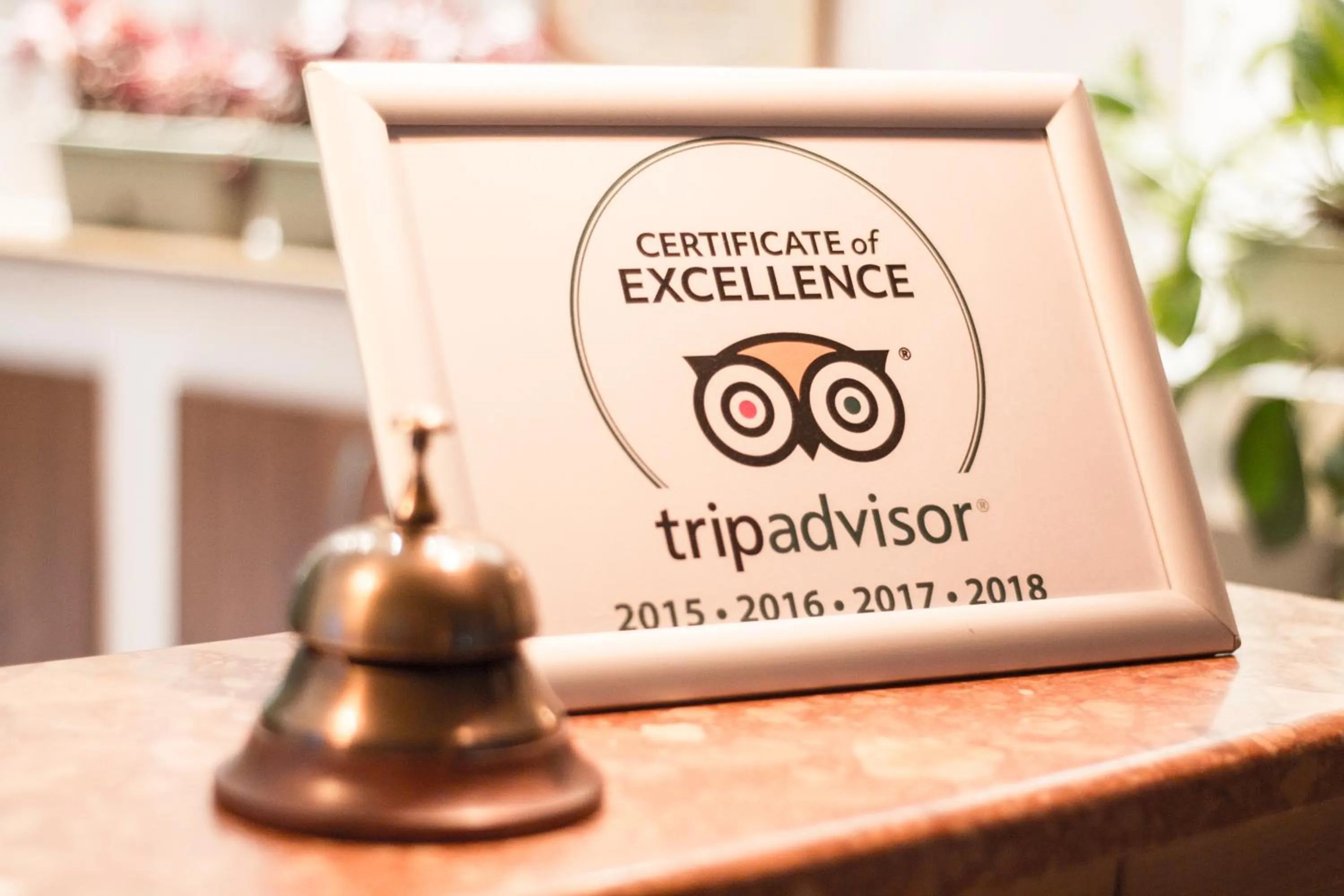 Day in Hotel Dragului